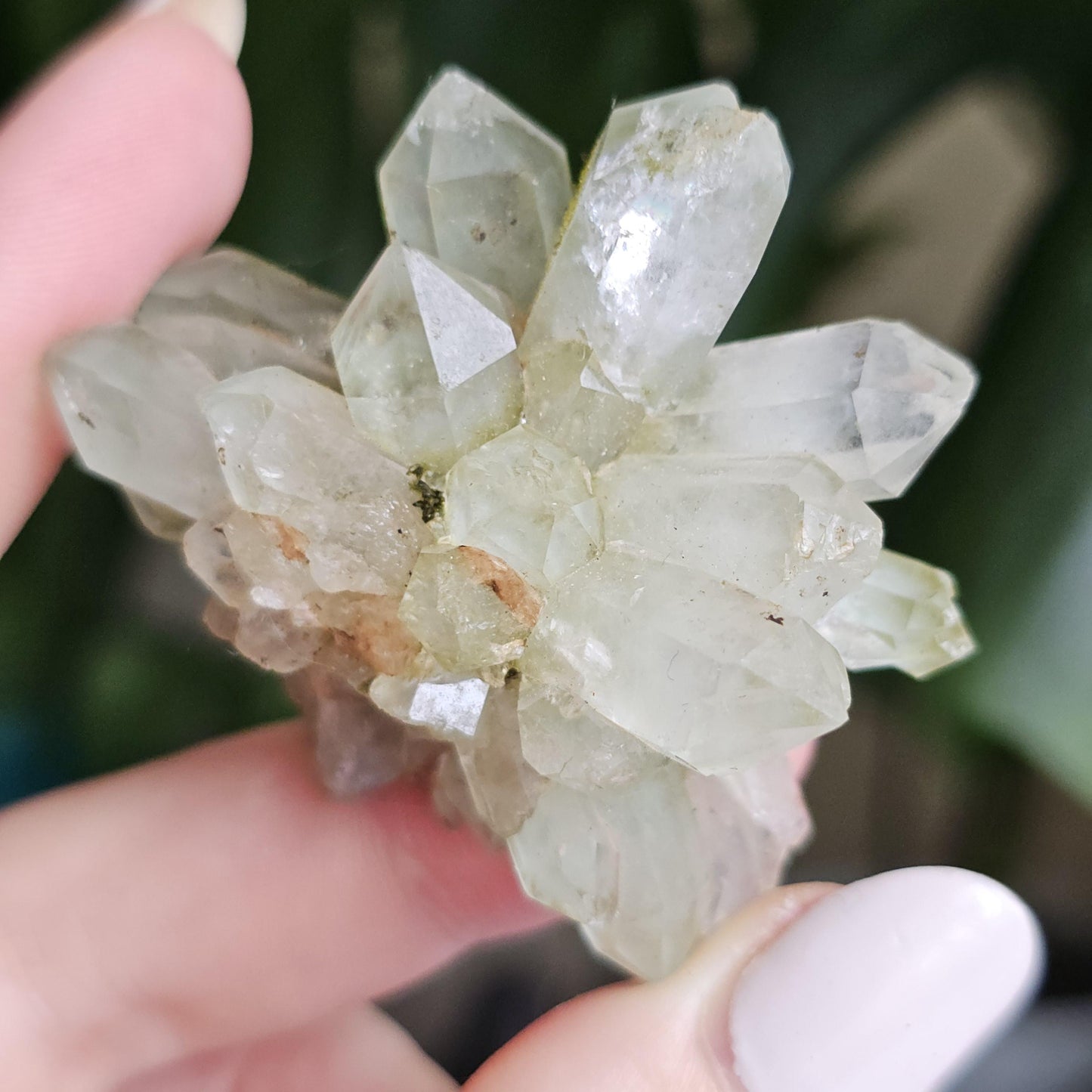 Flowering Quartz Specimen, Phantom Quartz Crystals from Turkey New Find <100