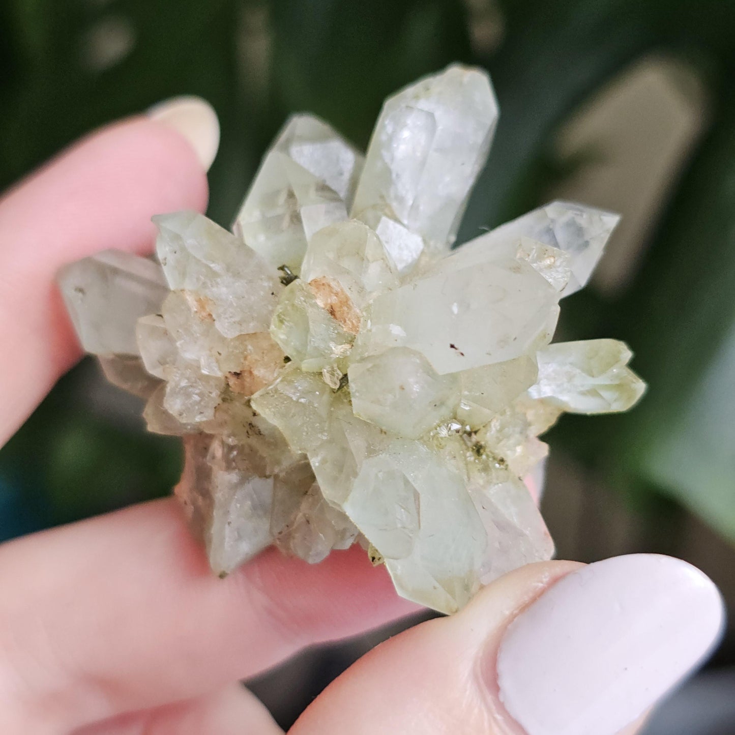 Flowering Quartz Specimen, Phantom Quartz Crystals from Turkey New Find <100