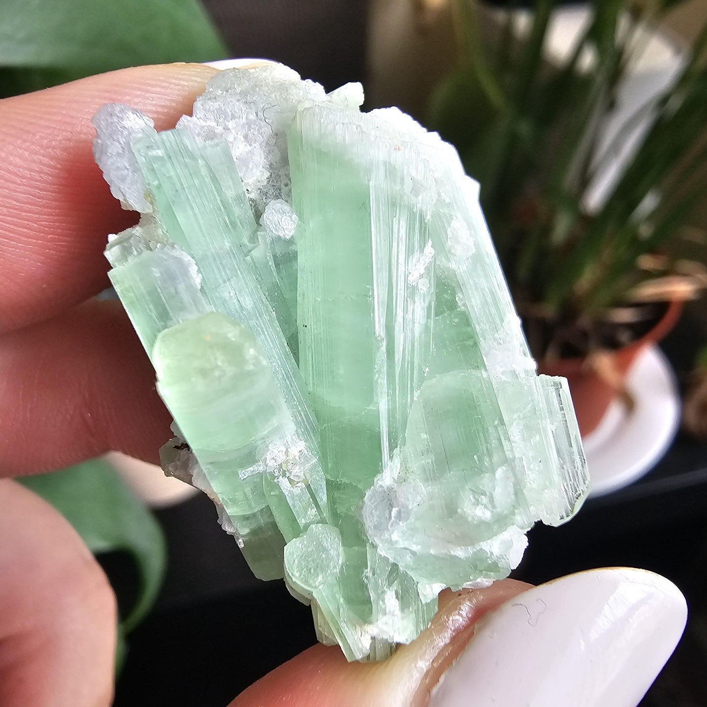 20g Seafoam Tourmaline Crystal Cluster, Lavender Purple Lepidolite Sparkles, Rare Raw Gemmy Mineral Specimen for Collection, HQ Gem, Laghman