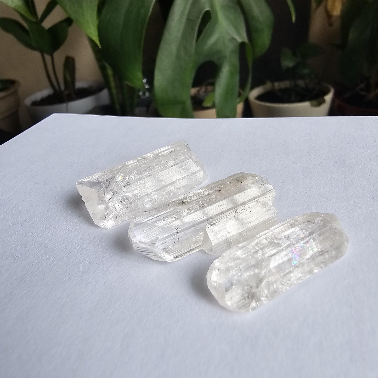 Gemmy Danburite Lot, Clear Terminated, Gem Grade, Rainbow Inclusions, Set of 3 Jewelry Grade, Pendant Sized Crystals, Durango Mexico