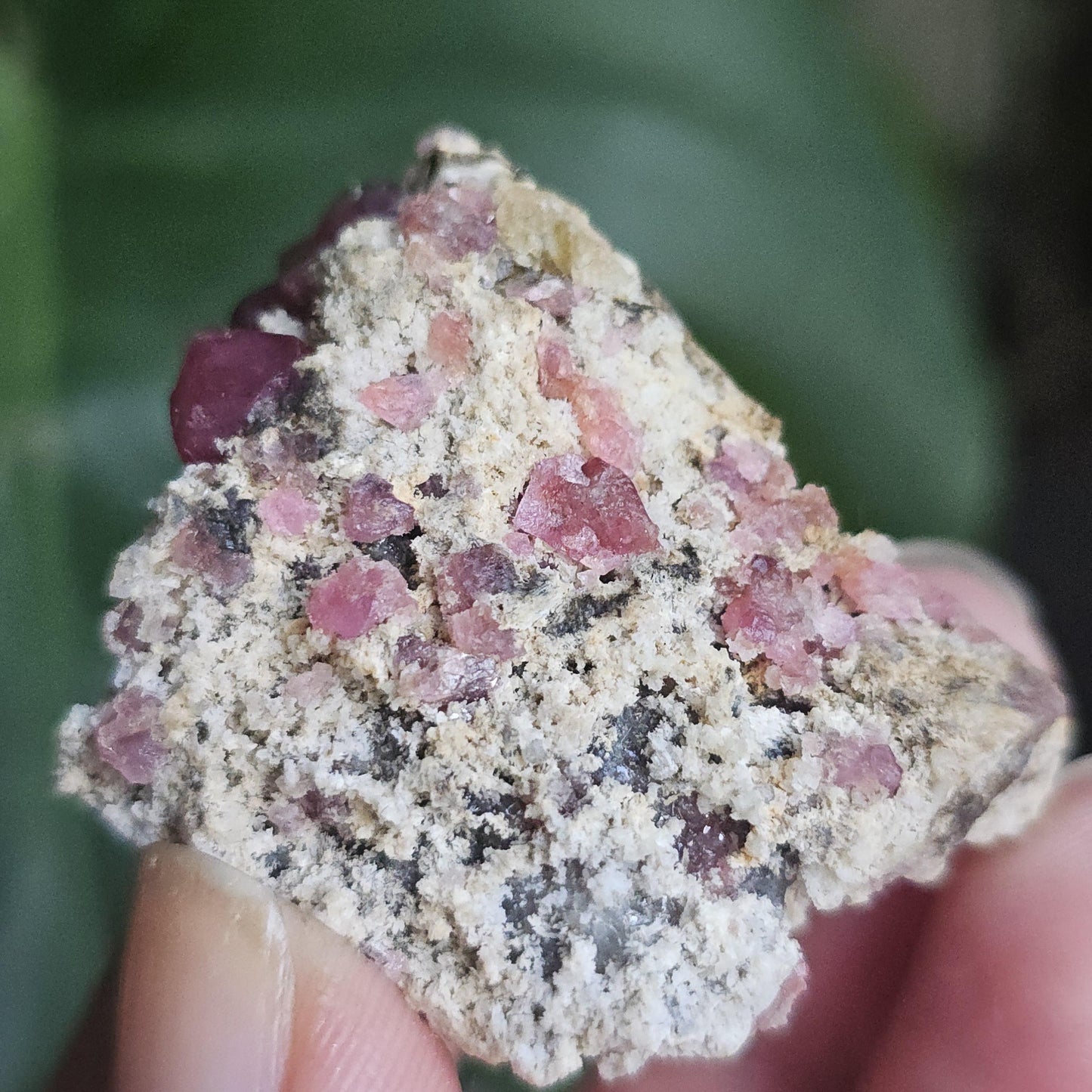 Raspberry Garnets on Matrix, High Quality Grossular, Natural Terminated Hot Pink Crystals on White Matrix, Ruby Color, Old Stock, Mexico