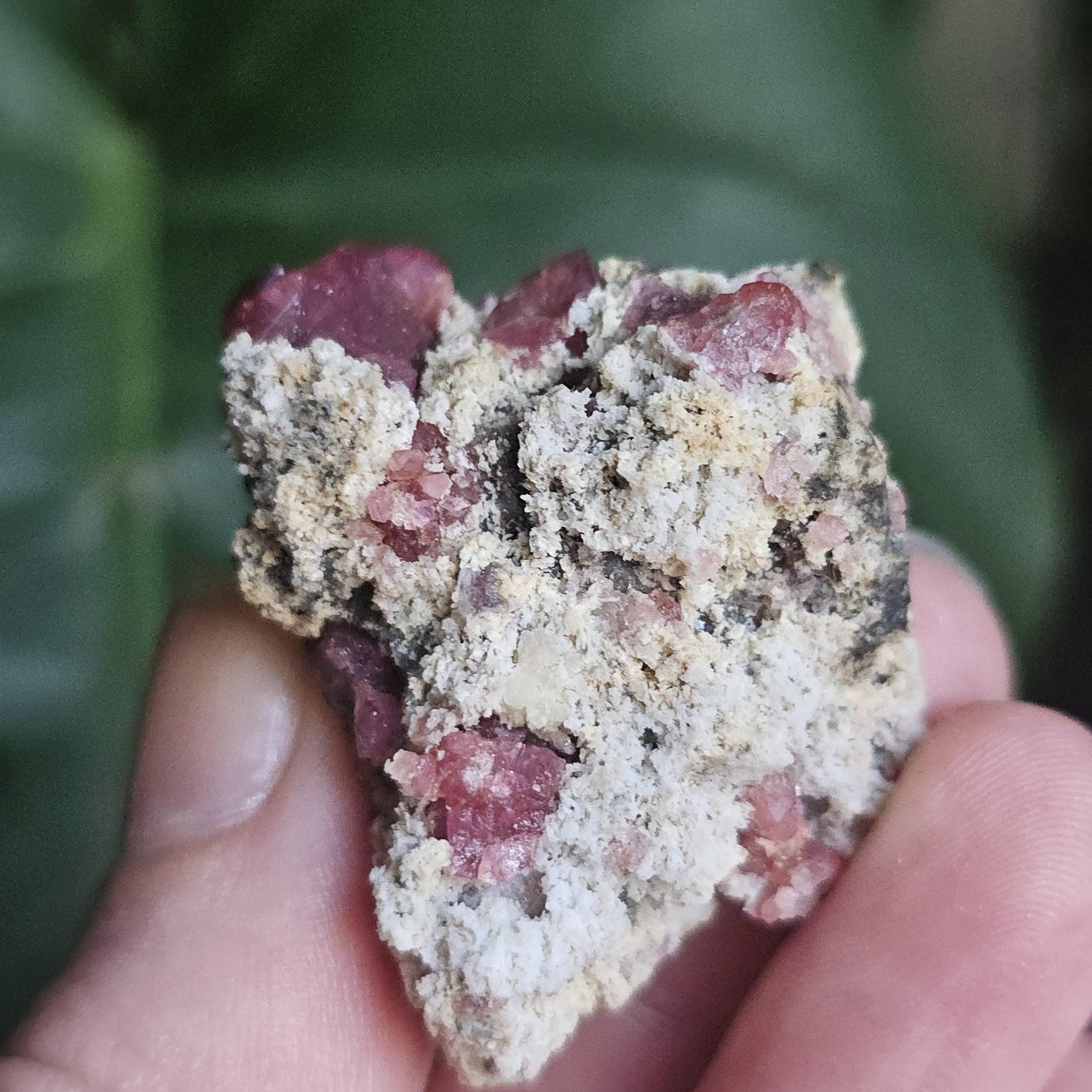 Raspberry Garnets on Matrix, High Quality Grossular, Natural Terminated Hot Pink Crystals on White Matrix, Ruby Color, Old Stock, Mexico