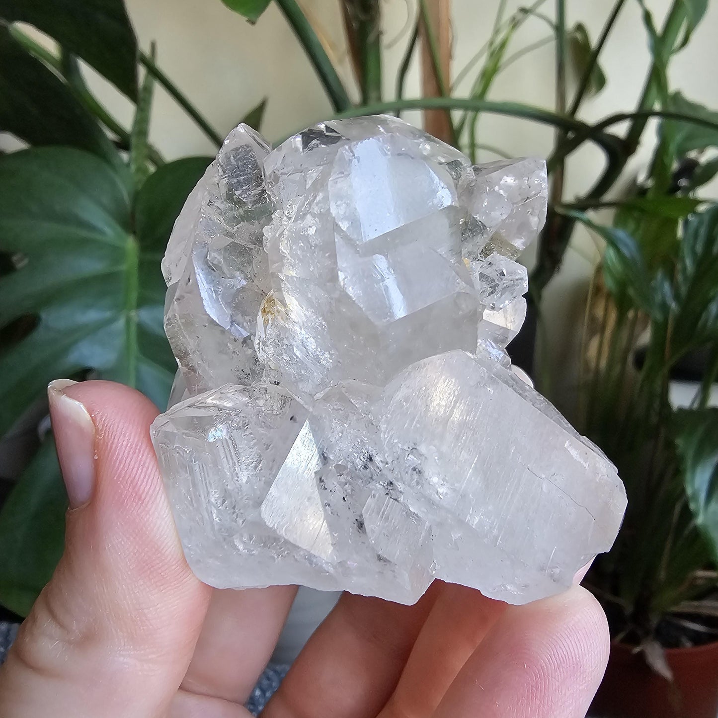 Elestial Castle Quartz Cluster ~ HQ Super Clear, Lustrous Lemurian Crystals