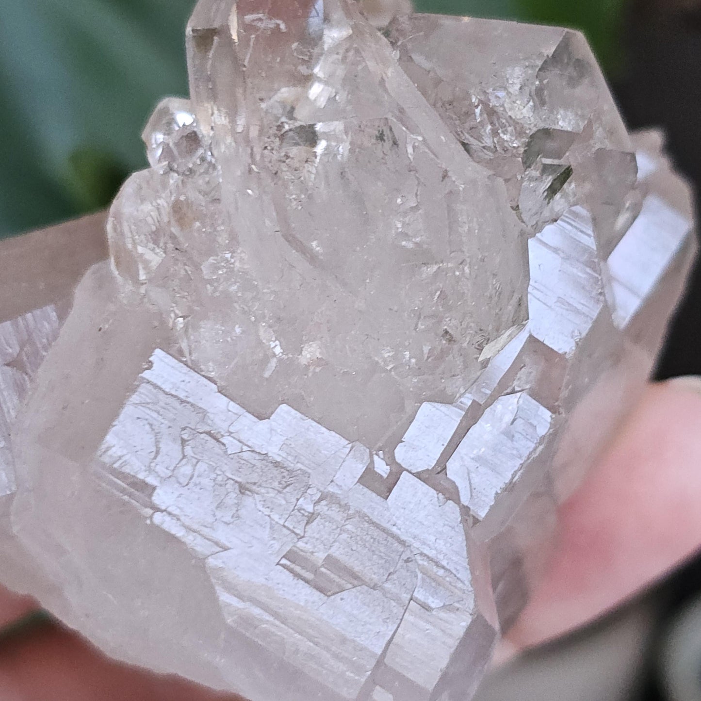 Elestial Castle Quartz Cluster ~ HQ Super Clear, Lustrous Lemurian Crystals