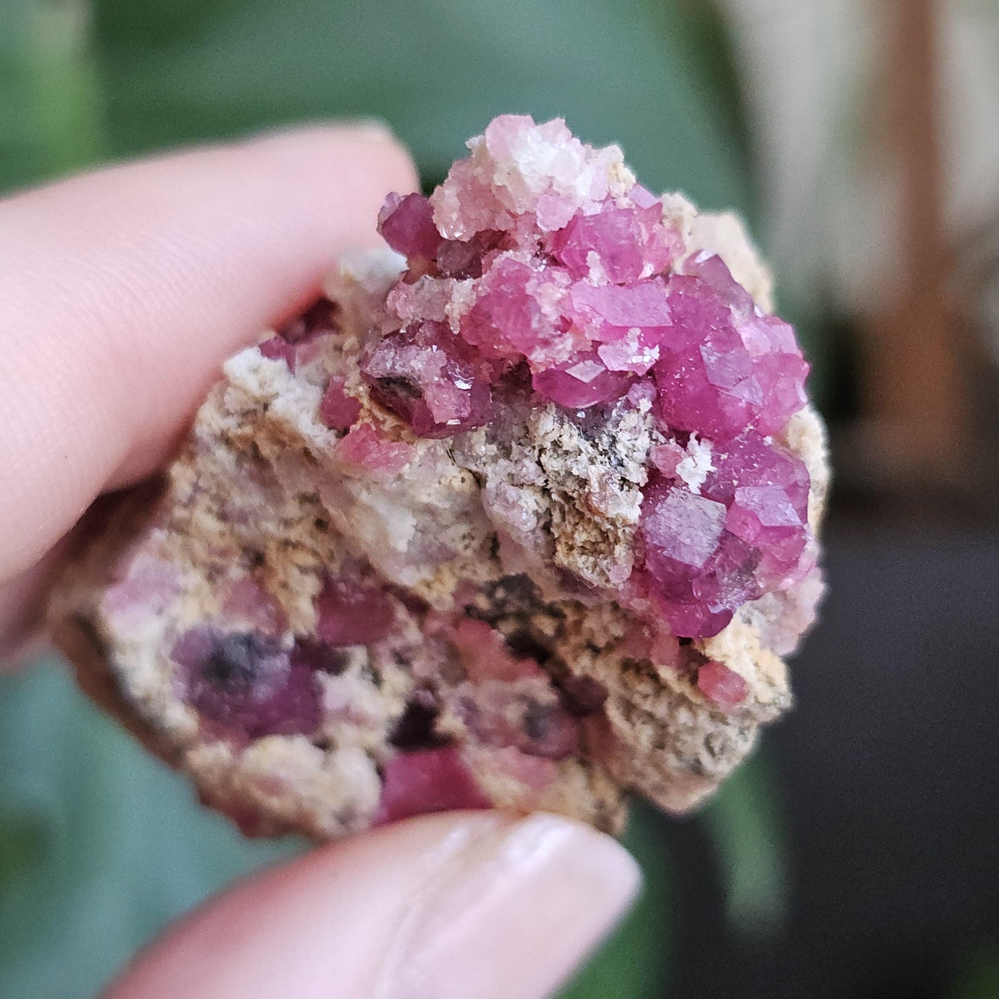 Raspberry Garnets on Matrix, High Quality, Raw Rare, Terminated Hot Pink Natural Crystals on White Matrix, Ruby Color, Old Stock, Mexico
