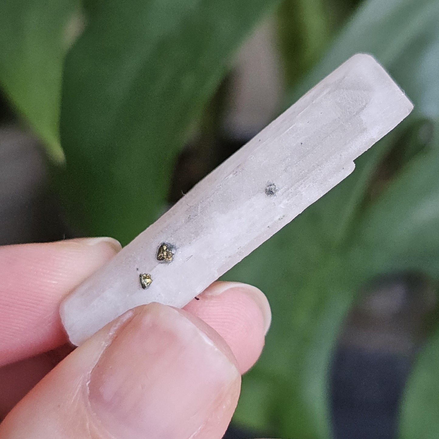 Danburite with Pyrite Inclusion | Rare Raw Crystal <100