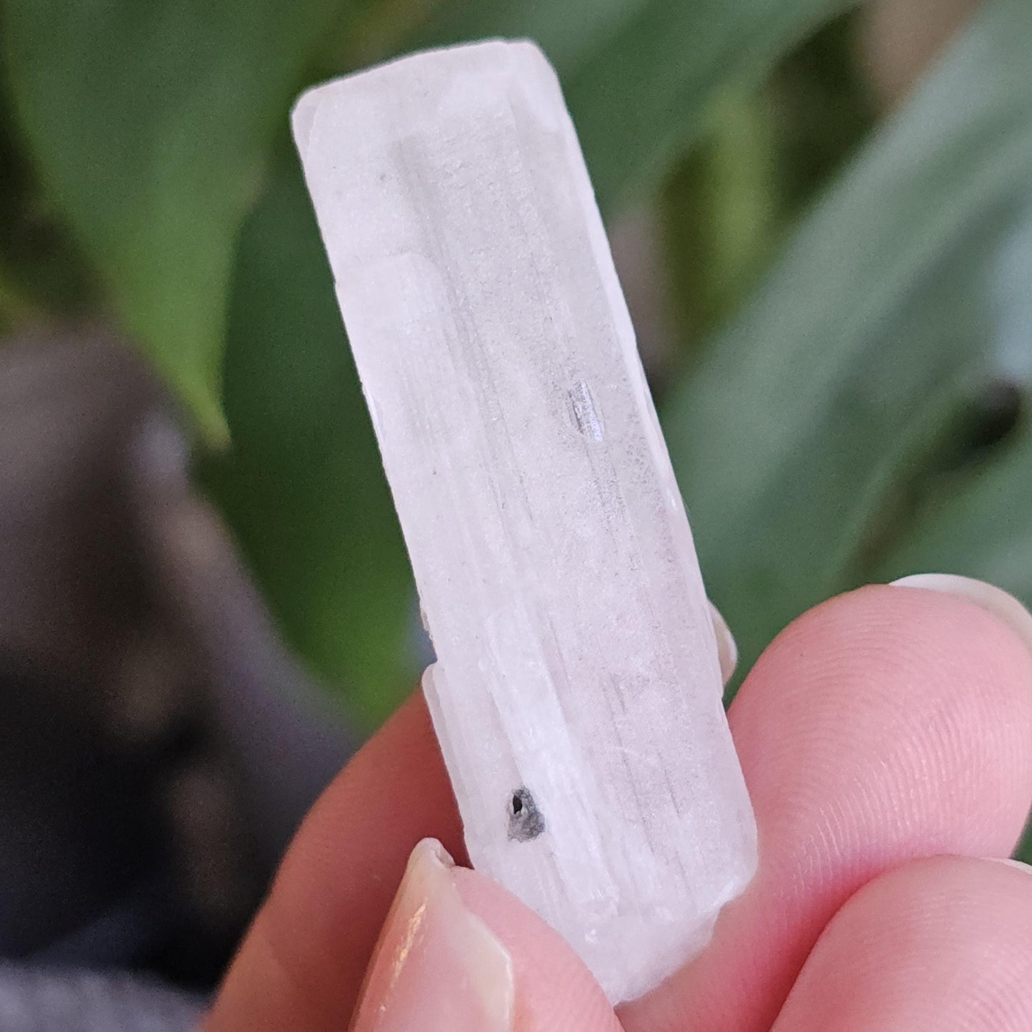 Danburite with Pyrite Inclusion | Rare Raw Crystal <100