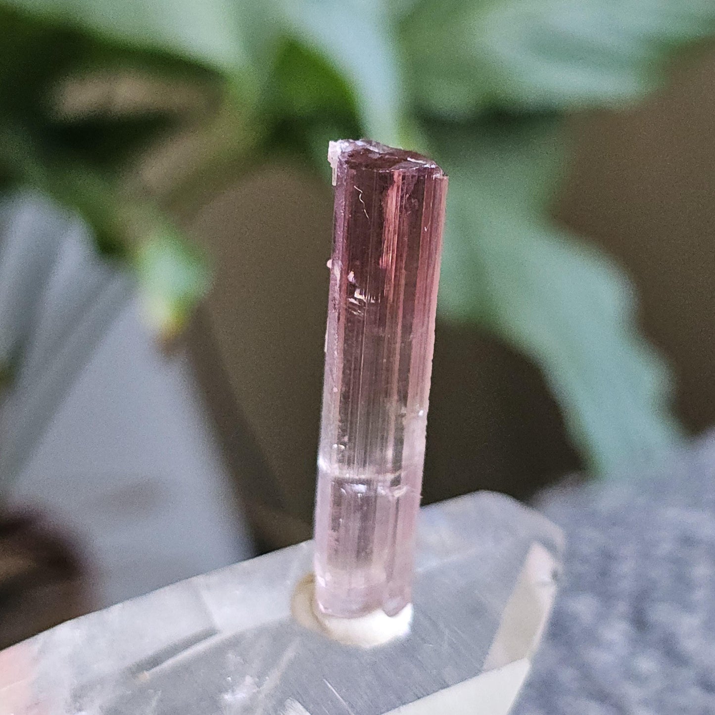 California Pink Tourmaline Pencil Crystal from the Himilaya Mine near San Diego | Rare Rainbow Multicolored Elbaite Gemstone w Ombre Effect