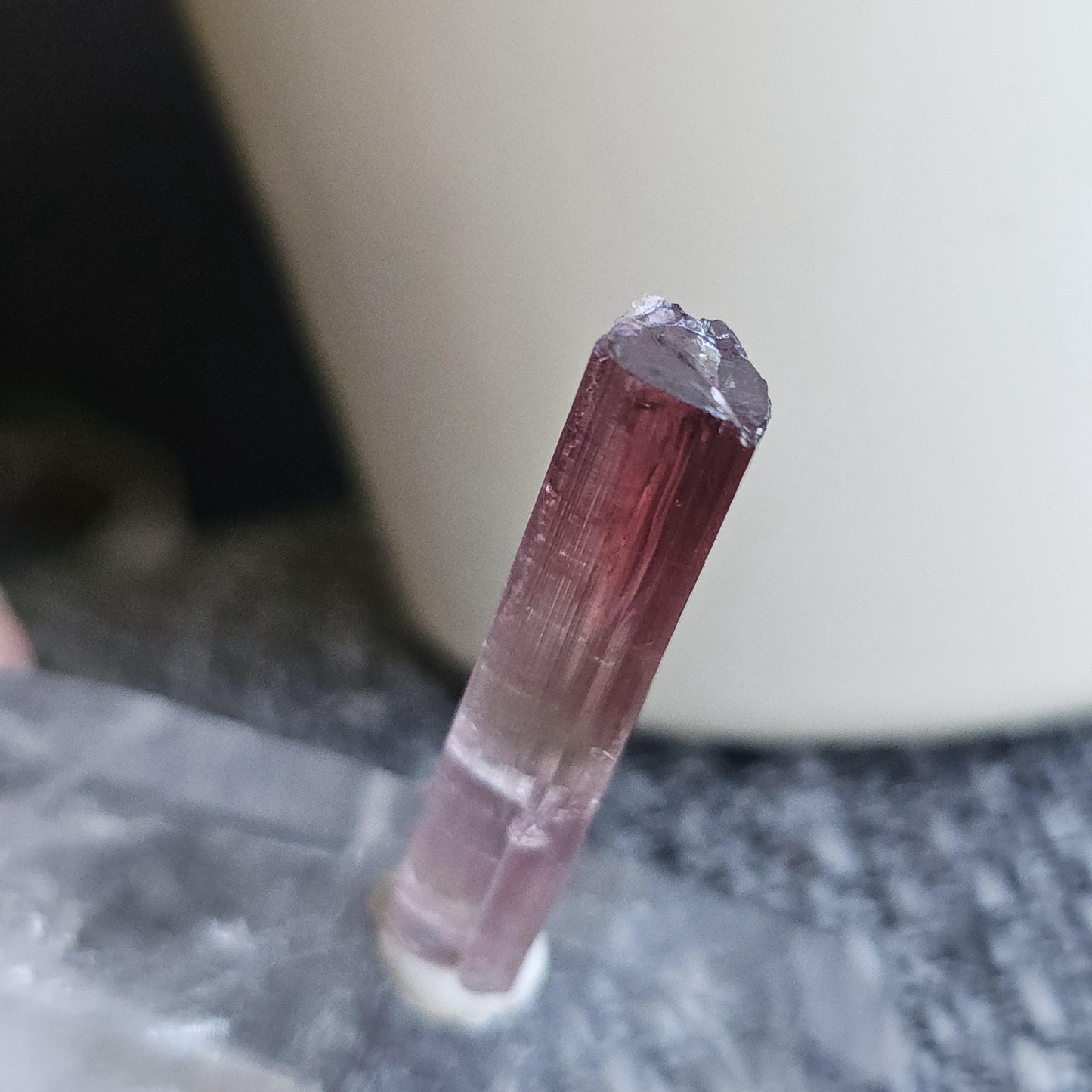 California Pink Tourmaline Pencil Crystal from the Himilaya Mine near San Diego | Rare Rainbow Multicolored Elbaite Gemstone w Ombre Effect