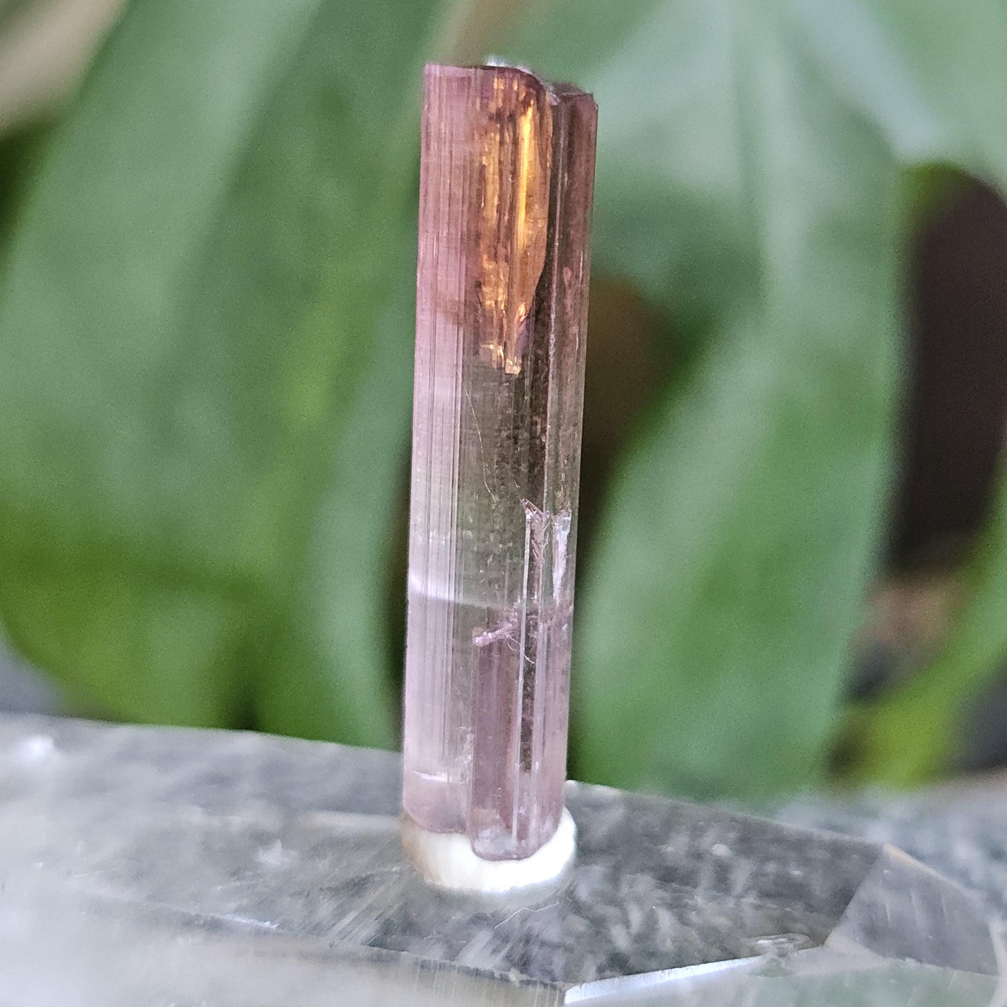 California Pink Tourmaline Pencil Crystal from the Himilaya Mine near San Diego | Rare Rainbow Multicolored Elbaite Gemstone w Ombre Effect