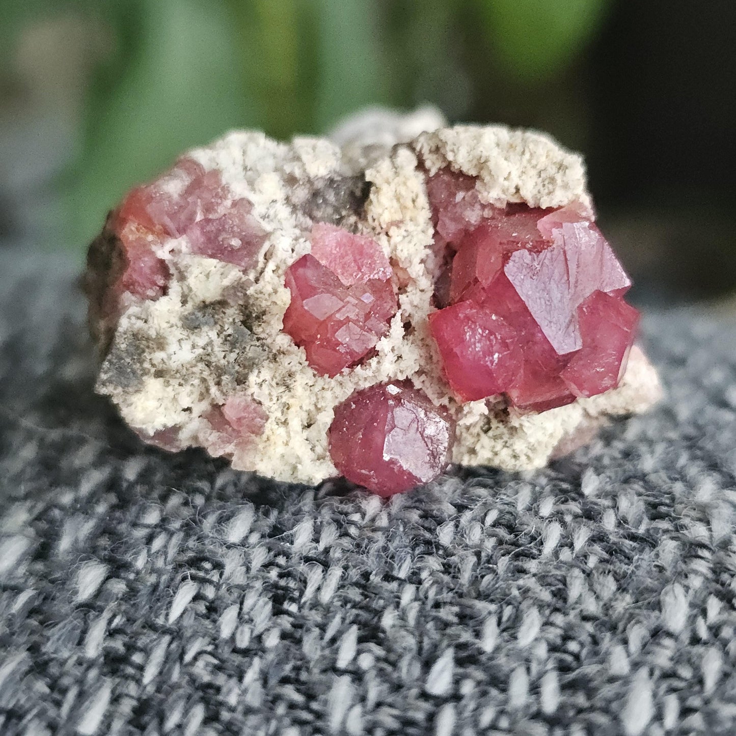 Raspberry Garnets on Matrix, High Quality Grossular, Natural Terminated Hot Pink Crystals on White Matrix, Ruby Color, Old Stock, Mexico