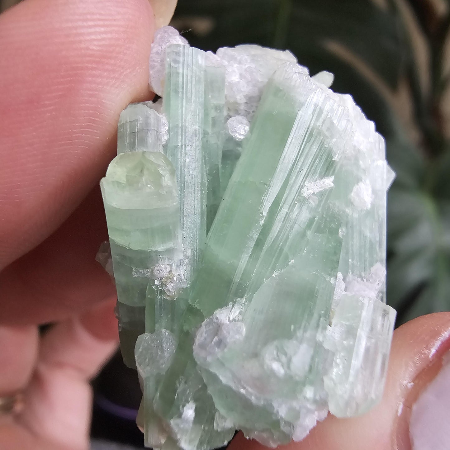 20g Seafoam Tourmaline Crystal Cluster, Lavender Purple Lepidolite Sparkles, Rare Raw Gemmy Mineral Specimen for Collection, HQ Gem, Laghman