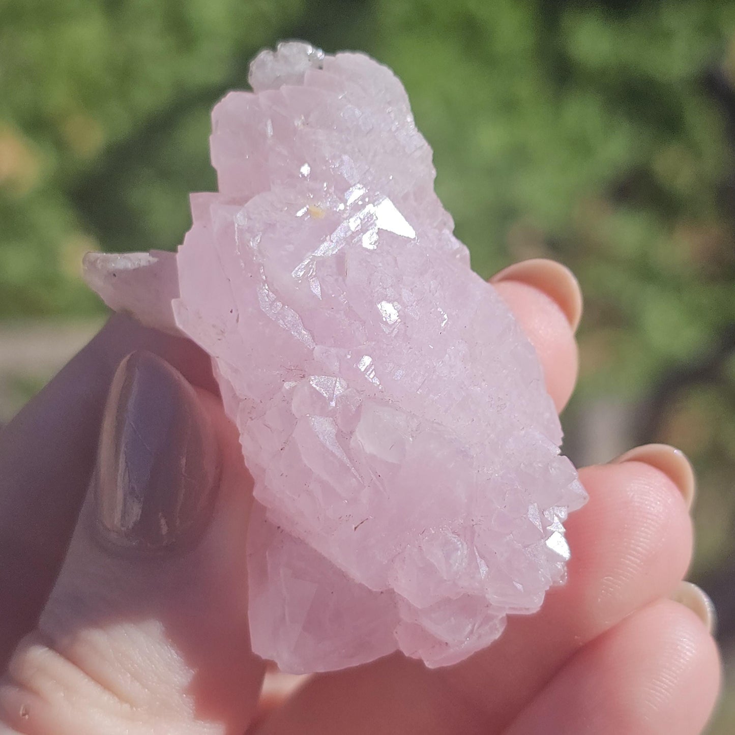 Crystallized Rose Quartz Specimen, Rare Terminated Raw Pink Crystal, Elestial Quartz from Piaui Brazil, 5 x 3 x 2 cm, Collector Stone