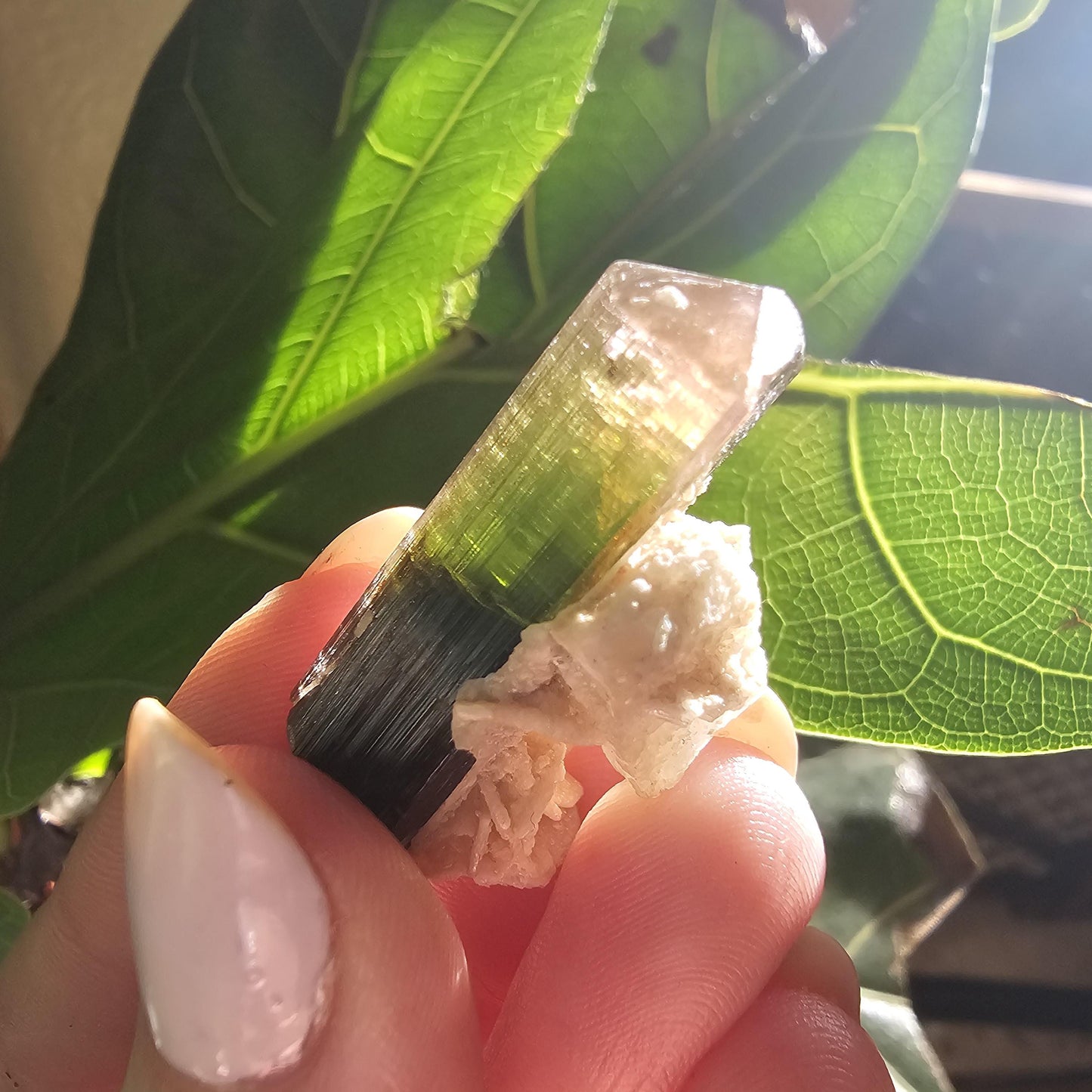 Tourmaline Crystal w Cleavandite, 9.2g Stak Nala Green & Pink Elbaite, Watermelon Tourmaline Colors, Distinct Light Shifts, Rare Mineral Art