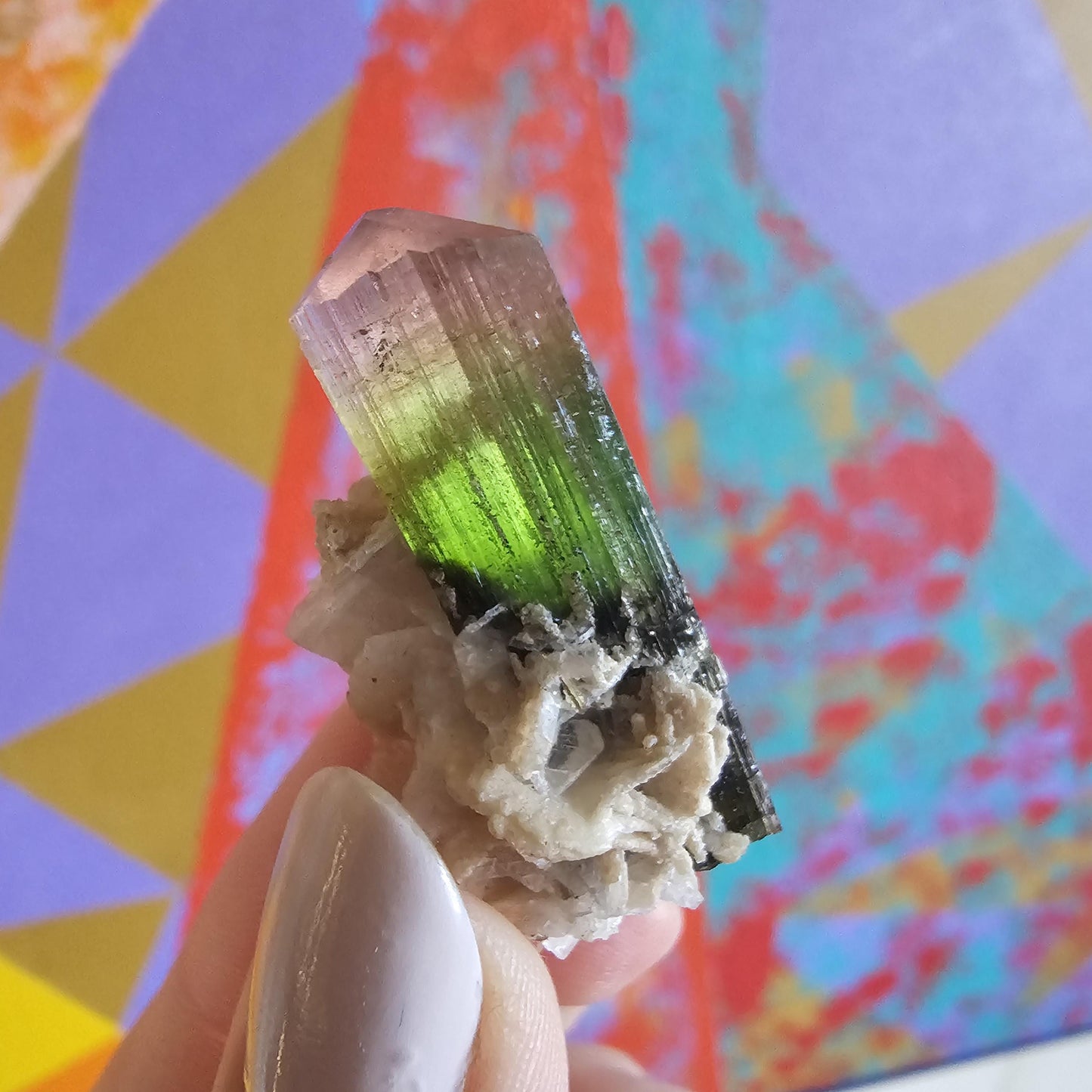 Tourmaline Crystal w Cleavandite, 9.2g Stak Nala Green & Pink Elbaite, Watermelon Tourmaline Colors, Distinct Light Shifts, Rare Mineral Art