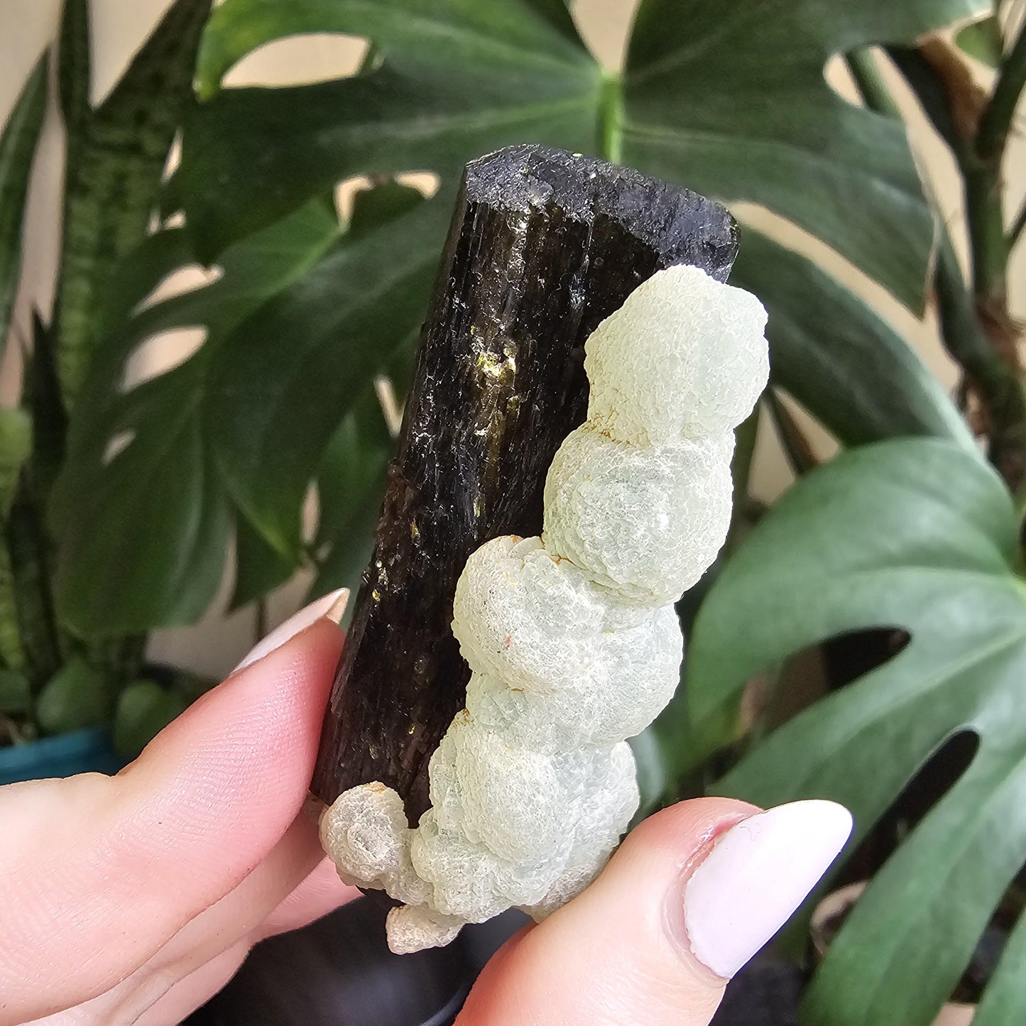 Terminated Large Deep Green Natural Epidote Crystal with Botryoidal Prehnite