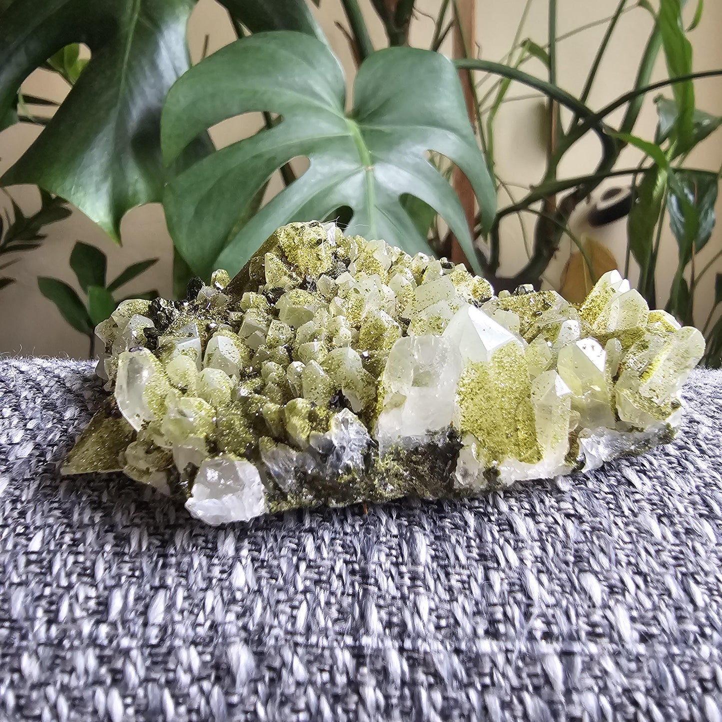 Epidote on Phantom Quartz, Chlorite or Fuschite Included New Find Combo Specimen