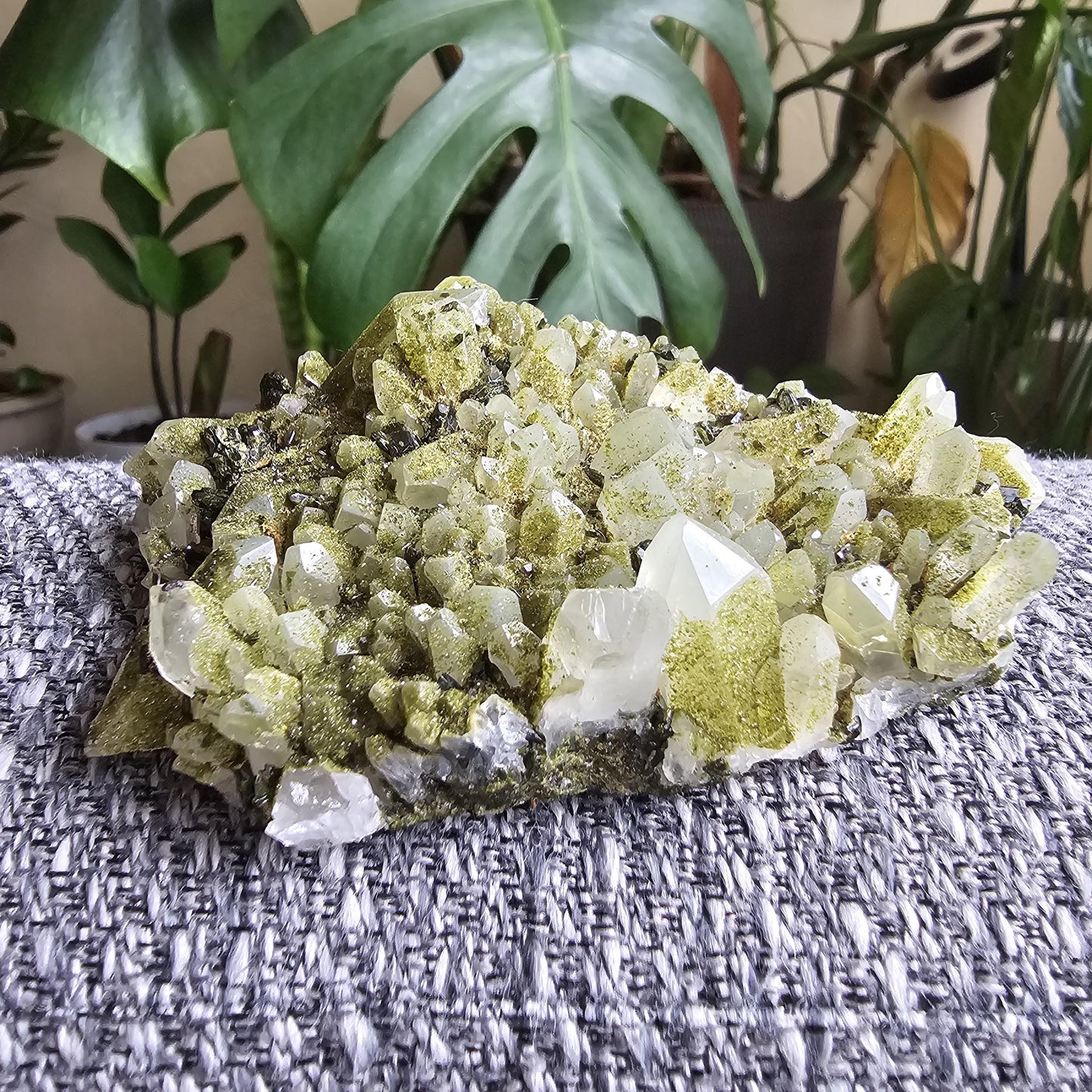 Epidote on Phantom Quartz, Chlorite or Fuschite Included New Find Combo Specimen