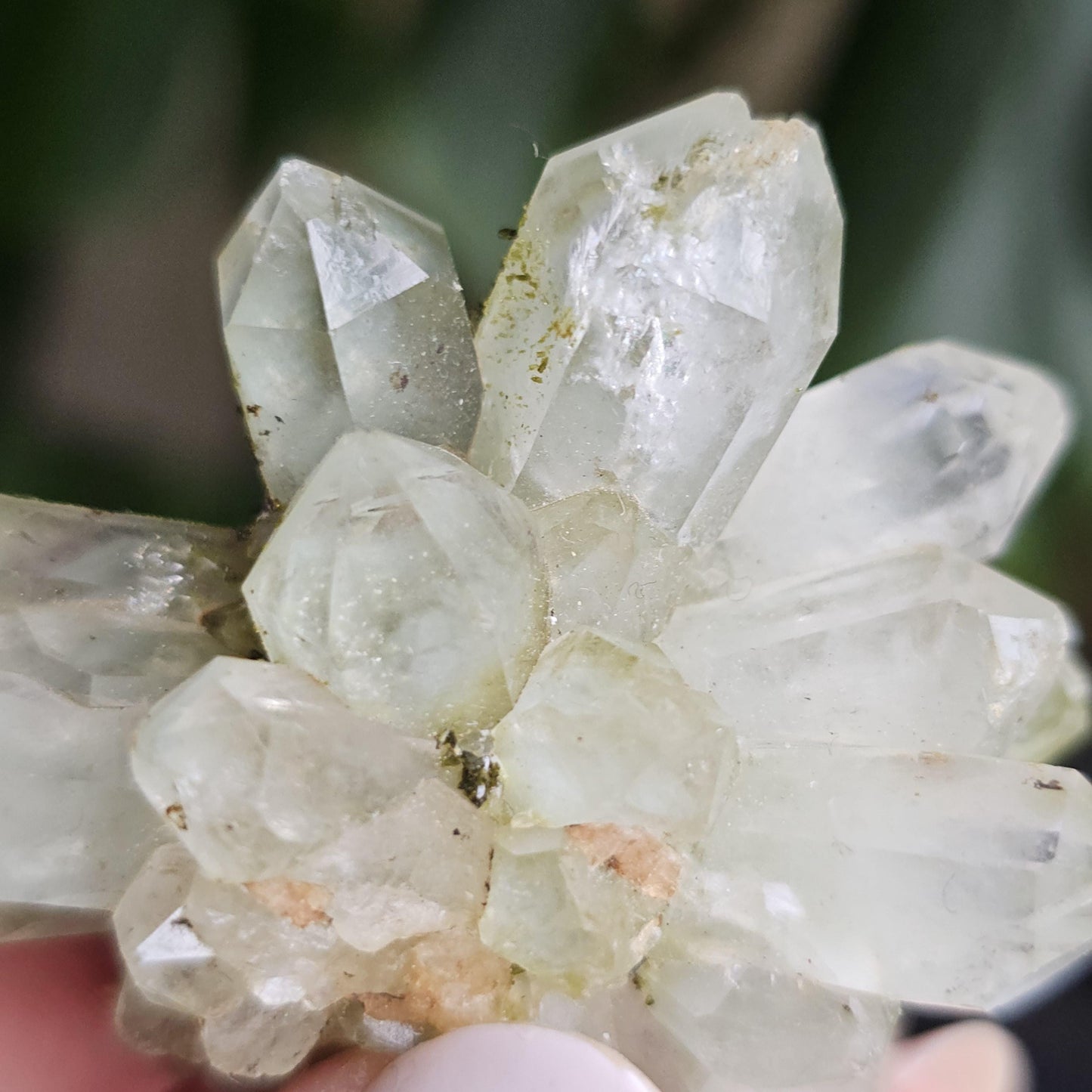 Flowering Quartz Specimen, Phantom Quartz Crystals from Turkey New Find <100