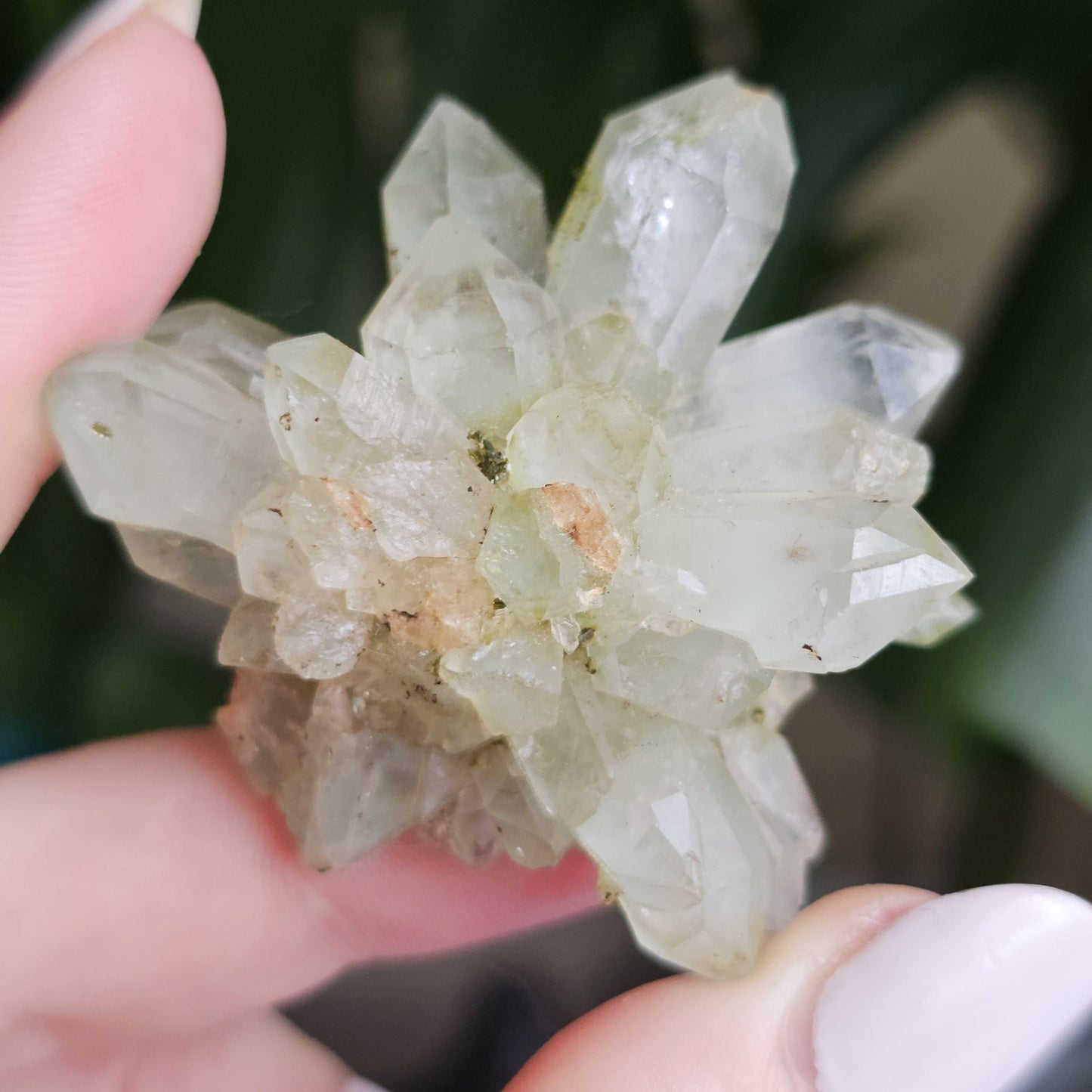 Flowering Quartz Specimen, Phantom Quartz Crystals from Turkey New Find <100