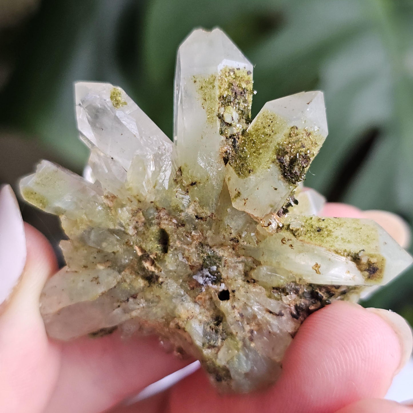 Flowering Quartz Specimen, Phantom Quartz Crystals from Turkey New Find <100