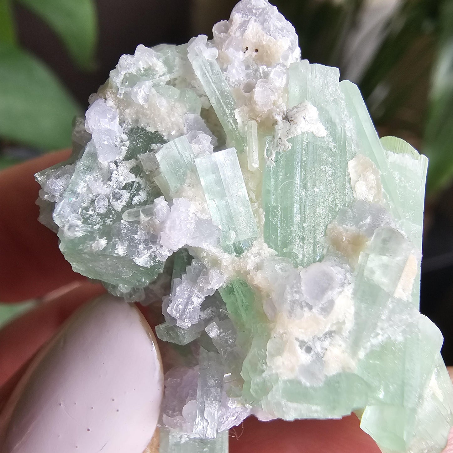 20g Seafoam Tourmaline Crystal Cluster, Lavender Purple Lepidolite Sparkles, Rare Raw Gemmy Mineral Specimen for Collection, HQ Gem, Laghman