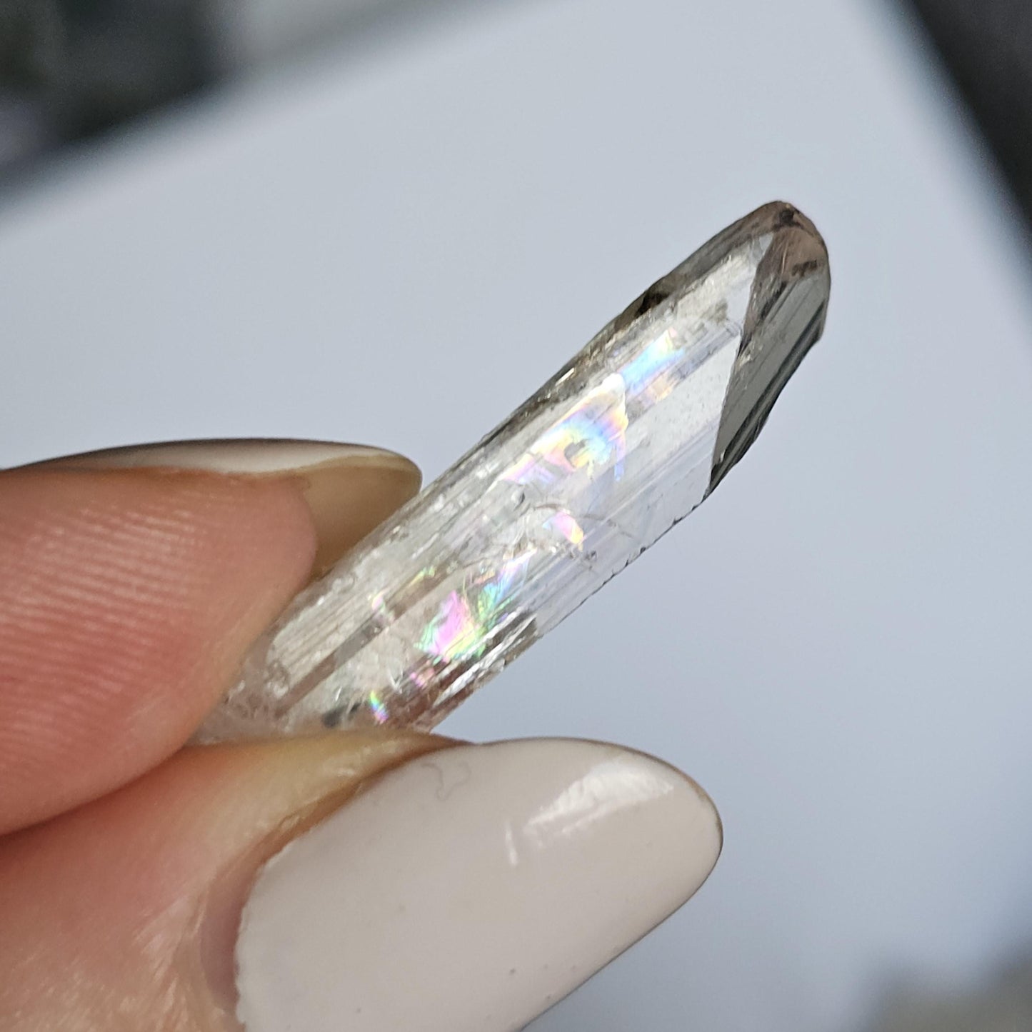 Gemmy Danburite Lot, Clear Terminated, Gem Grade, Rainbow Inclusions, Set of 3 Jewelry Grade, Pendant Sized Crystals, Durango Mexico