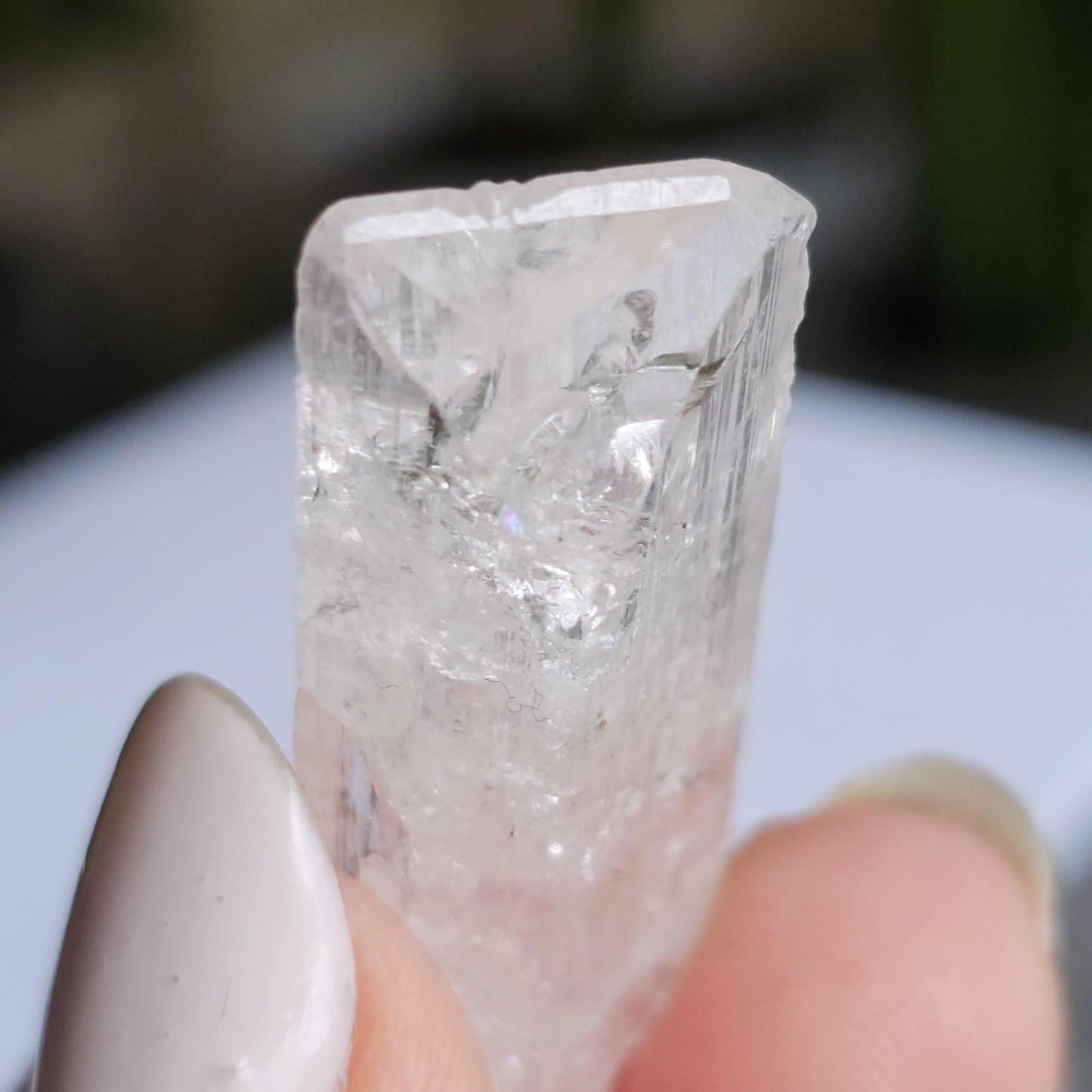 Gemmy Danburite Lot, Clear Terminated, Gem Grade, Rainbow Inclusions, Set of 3 Jewelry Grade, Pendant Sized Crystals, Durango Mexico