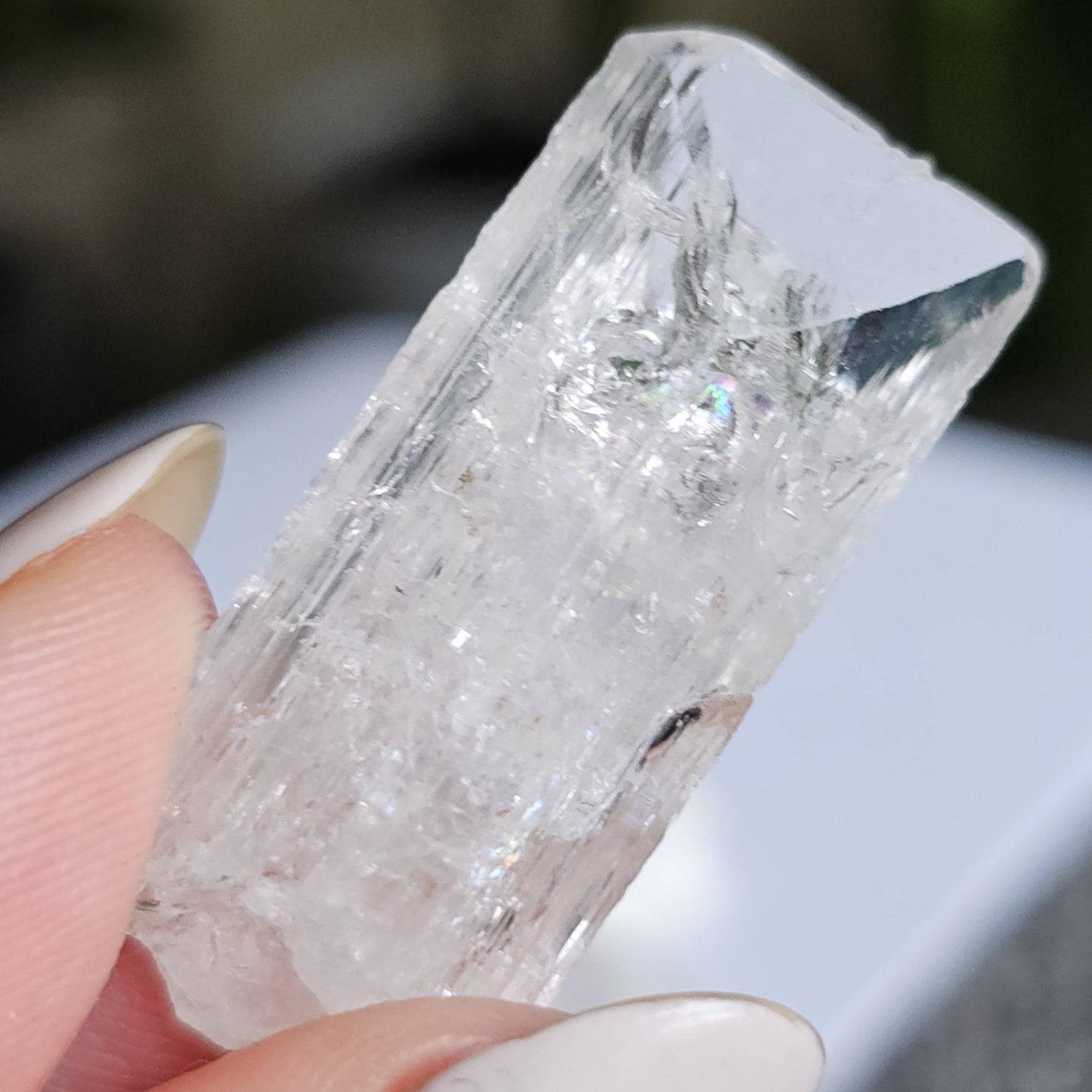 Gemmy Danburite Lot, Clear Terminated, Gem Grade, Rainbow Inclusions, Set of 3 Jewelry Grade, Pendant Sized Crystals, Durango Mexico