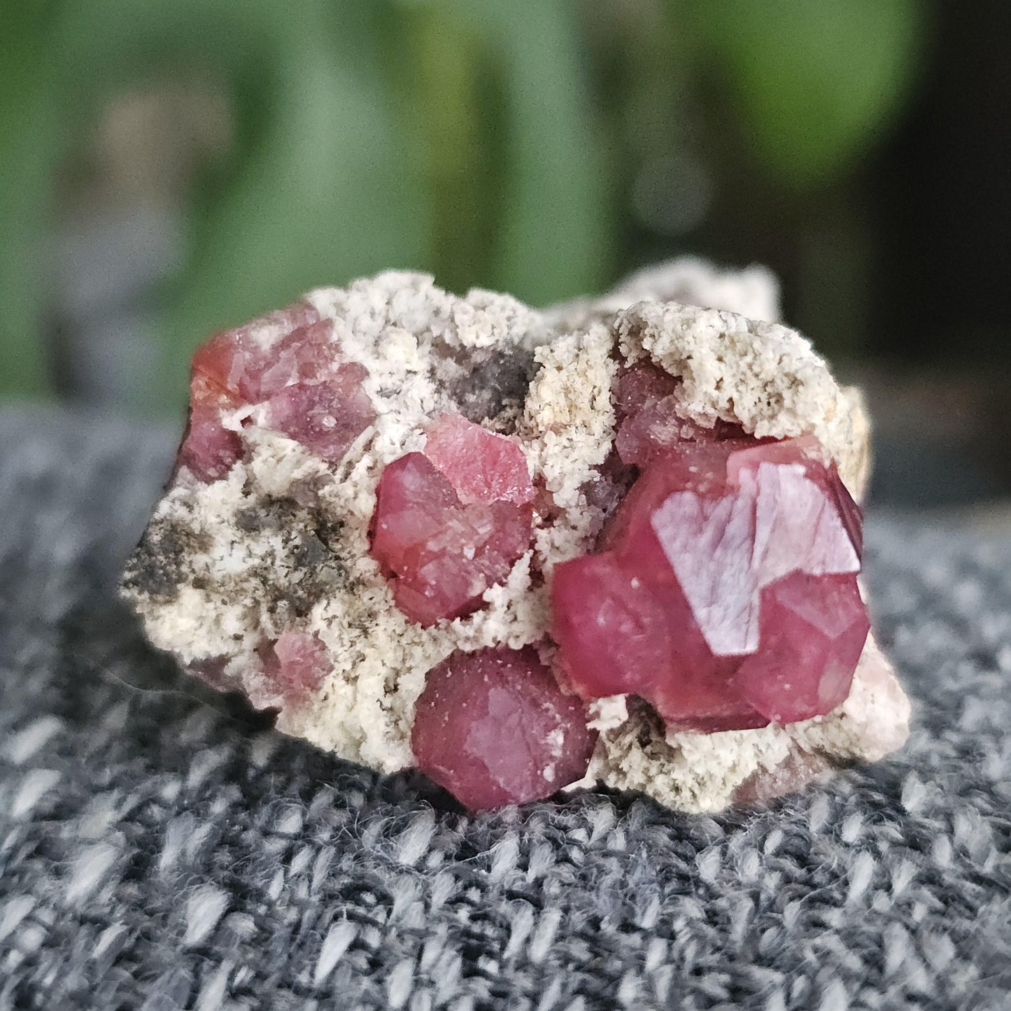 Raspberry Garnets on Matrix, High Quality Grossular, Natural Terminated Hot Pink Crystals on White Matrix, Ruby Color, Old Stock, Mexico