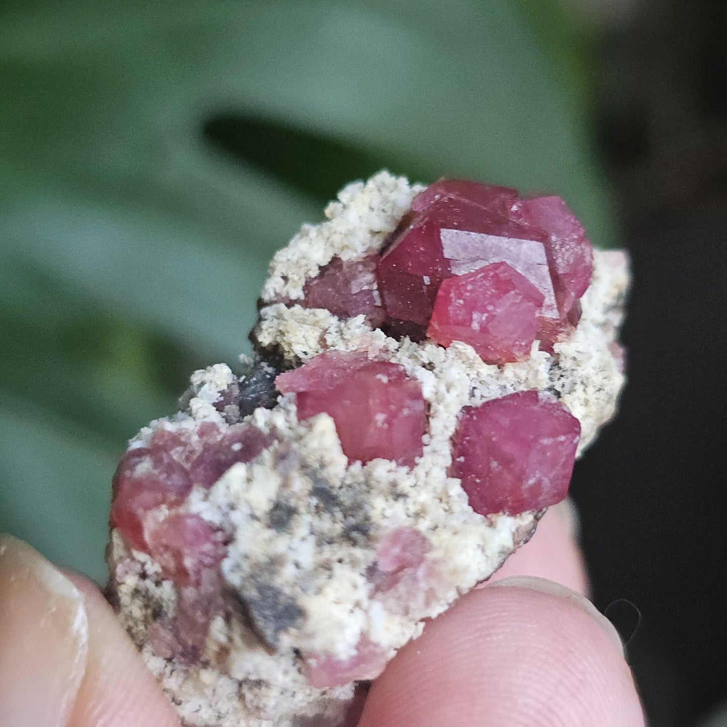 Raspberry Garnets on Matrix, High Quality Grossular, Natural Terminated Hot Pink Crystals on White Matrix, Ruby Color, Old Stock, Mexico