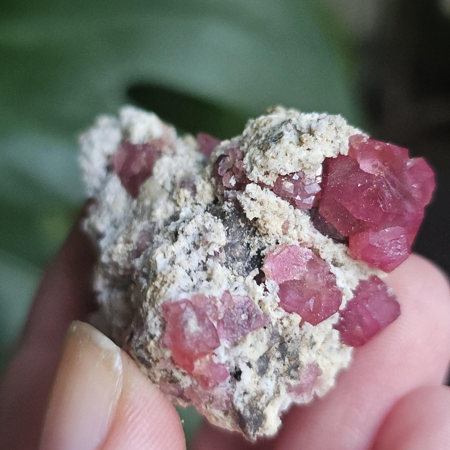 Raspberry Garnets on Matrix, High Quality Grossular, Natural Terminated Hot Pink Crystals on White Matrix, Ruby Color, Old Stock, Mexico