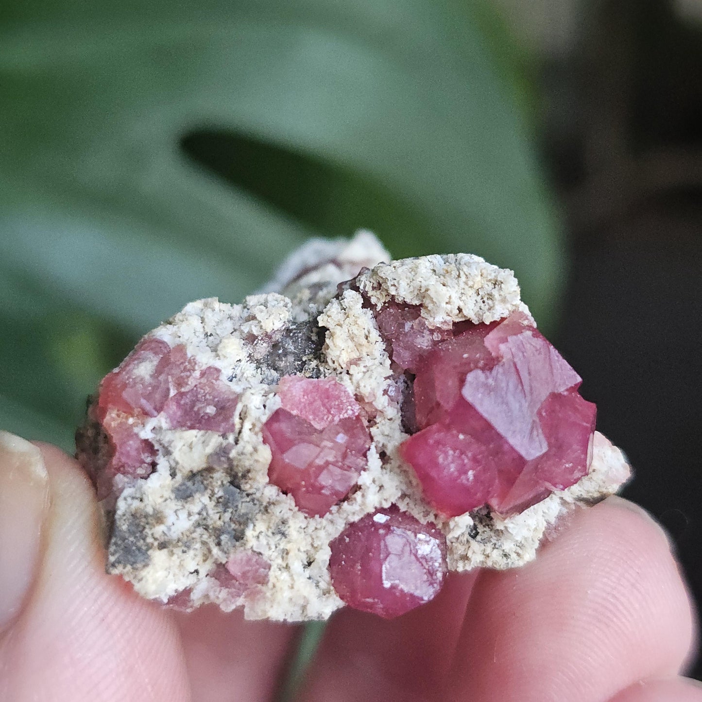 Raspberry Garnets on Matrix, High Quality Grossular, Natural Terminated Hot Pink Crystals on White Matrix, Ruby Color, Old Stock, Mexico
