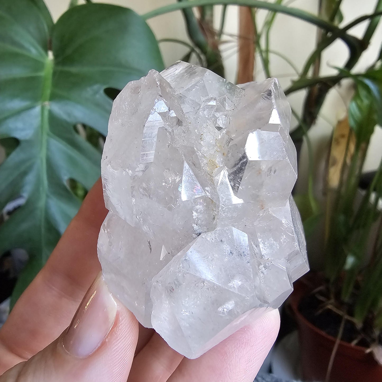 Elestial Castle Quartz Cluster ~ HQ Super Clear, Lustrous Lemurian Crystals