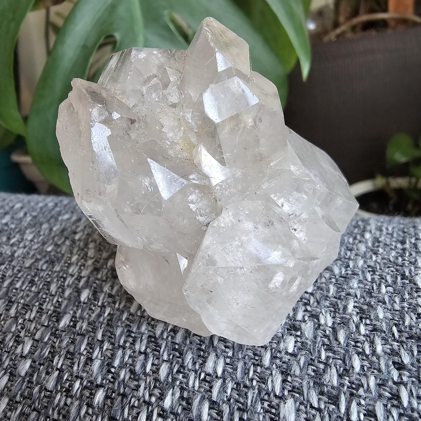 Elestial Castle Quartz Cluster ~ HQ Super Clear, Lustrous Lemurian Crystals