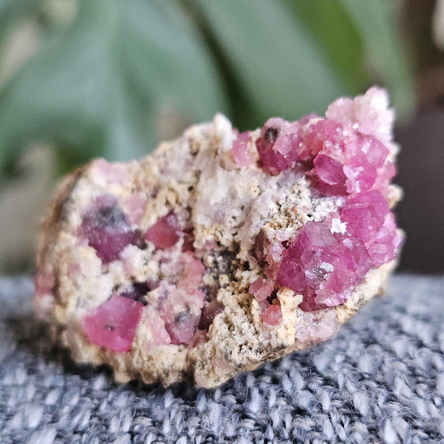 Raspberry Garnets on Matrix, High Quality, Raw Rare, Terminated Hot Pink Natural Crystals on White Matrix, Ruby Color, Old Stock, Mexico