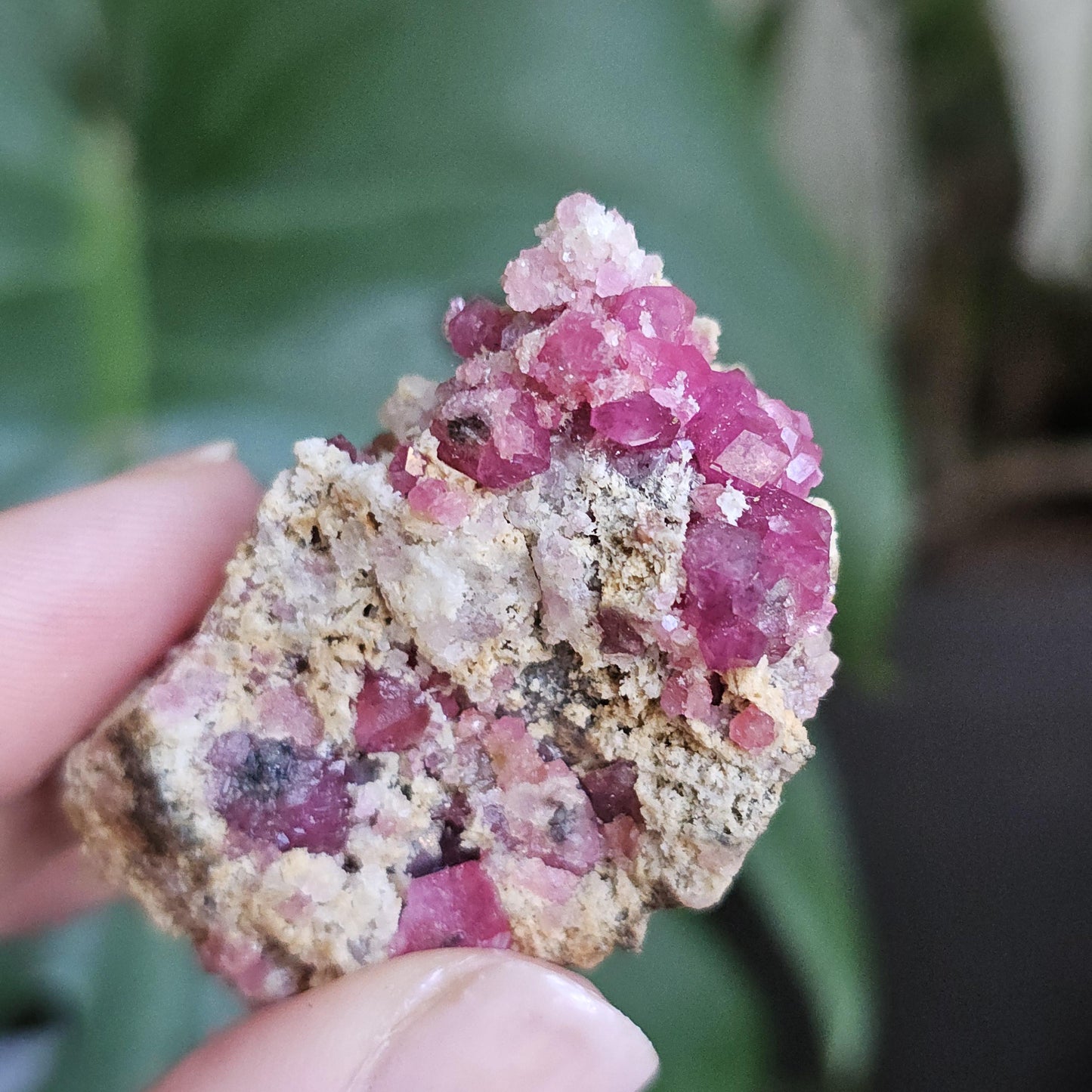 Raspberry Garnets on Matrix, High Quality, Raw Rare, Terminated Hot Pink Natural Crystals on White Matrix, Ruby Color, Old Stock, Mexico
