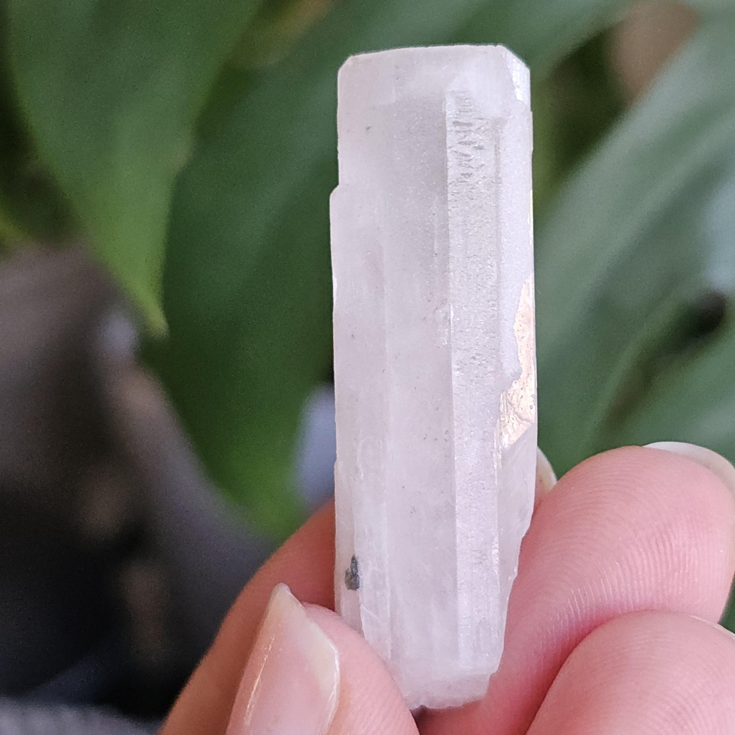 Danburite with Pyrite Inclusion | Rare Raw Crystal <100