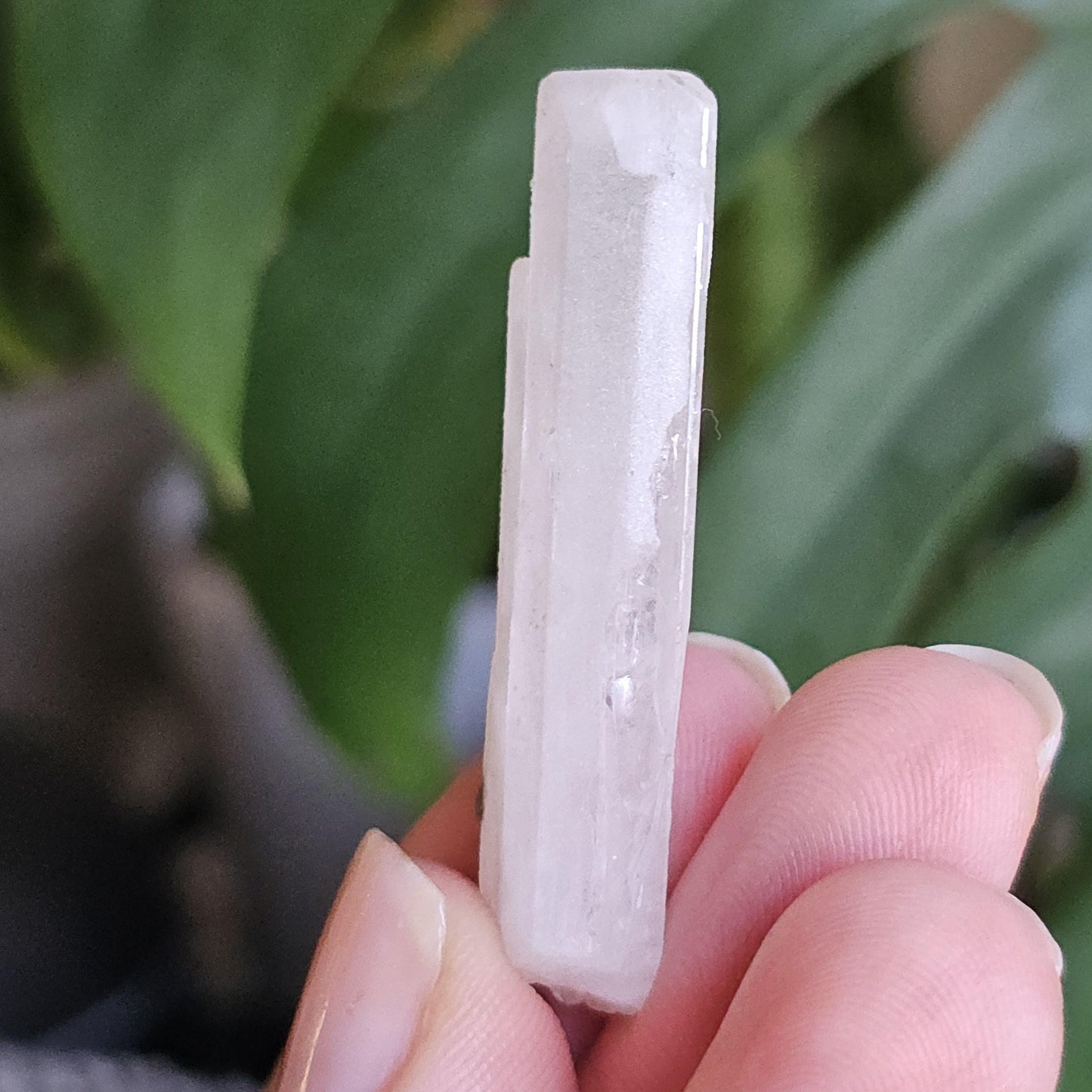 Danburite with Pyrite Inclusion | Rare Raw Crystal <100