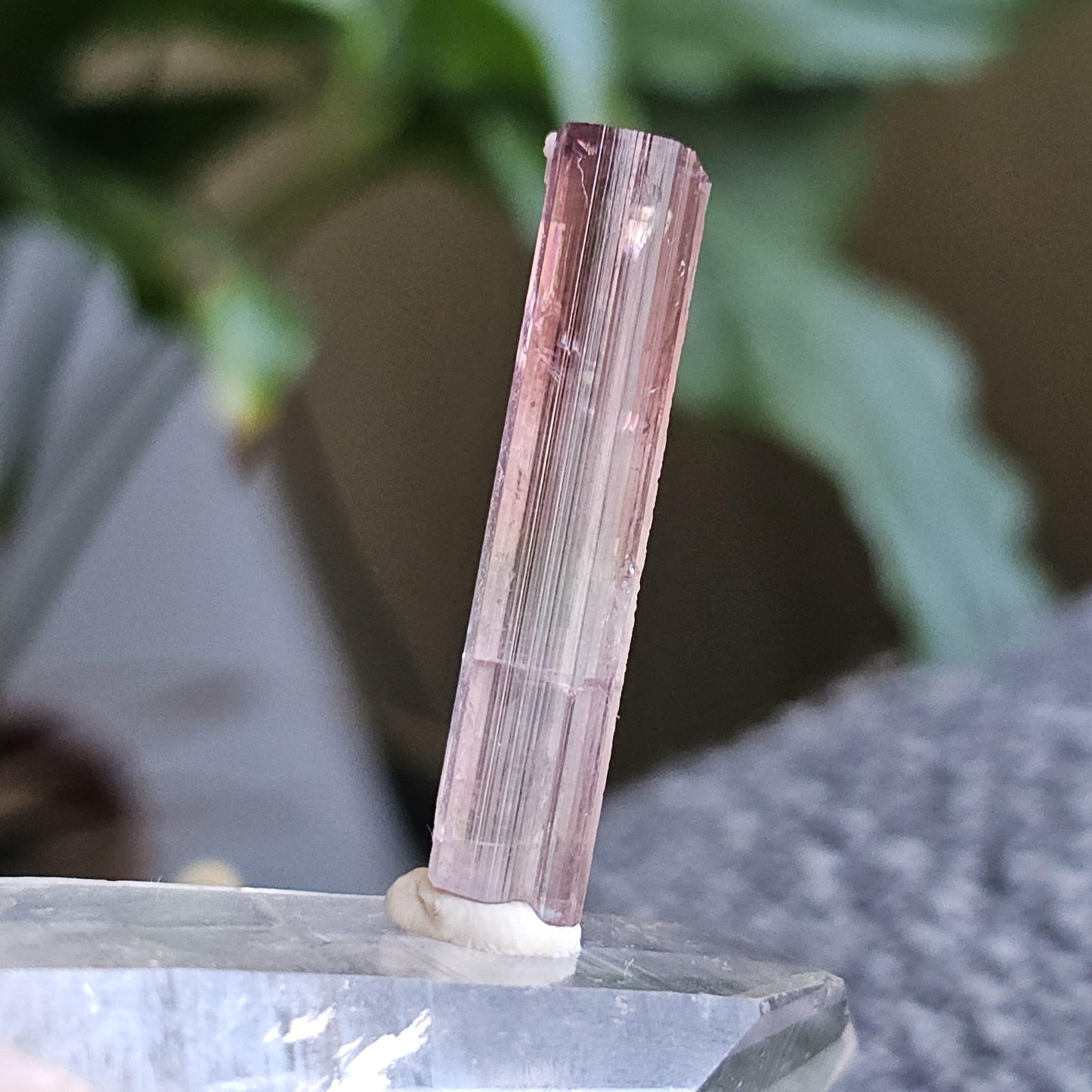 California Pink Tourmaline Pencil Crystal from the Himilaya Mine near San Diego | Rare Rainbow Multicolored Elbaite Gemstone w Ombre Effect