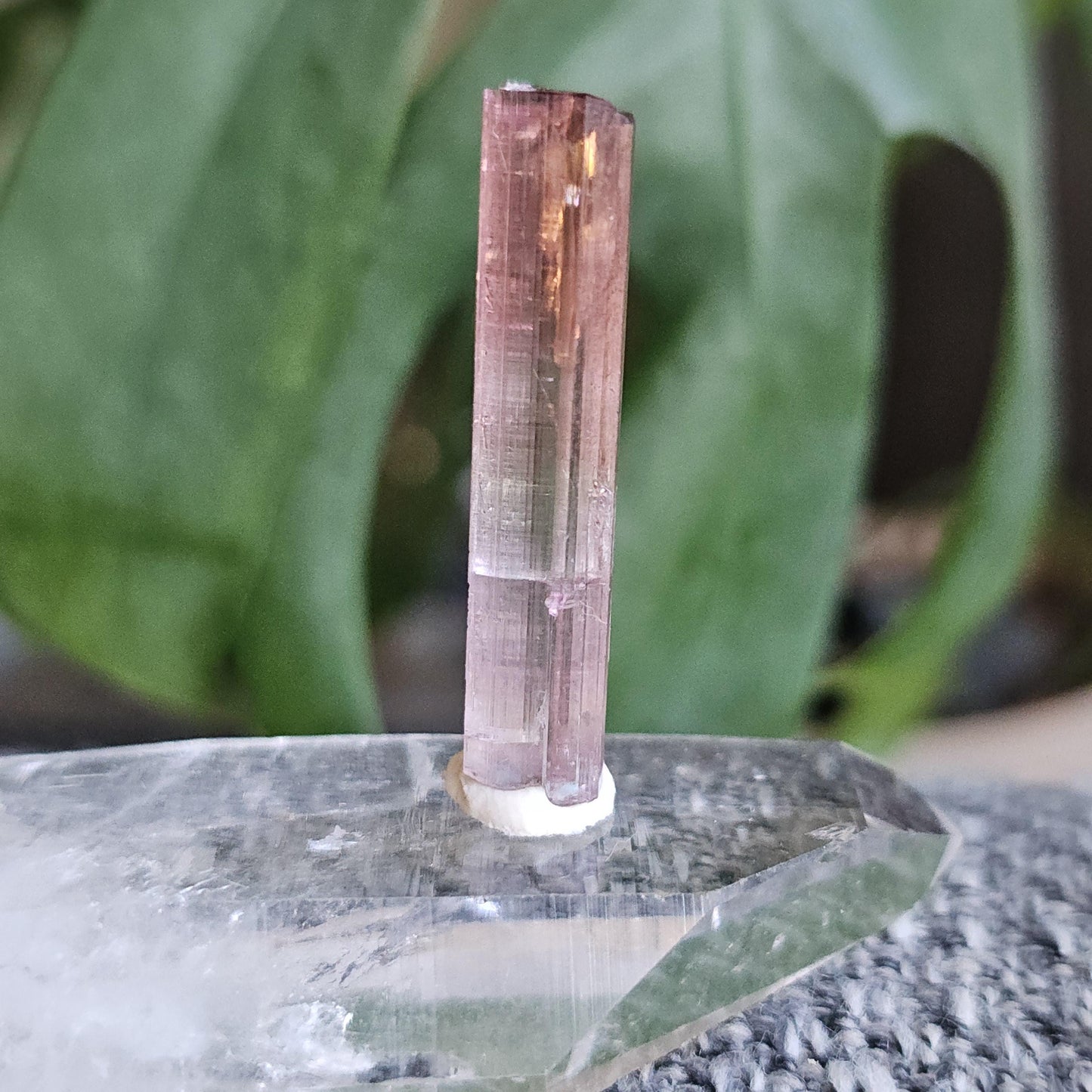 California Pink Tourmaline Pencil Crystal from the Himilaya Mine near San Diego | Rare Rainbow Multicolored Elbaite Gemstone w Ombre Effect