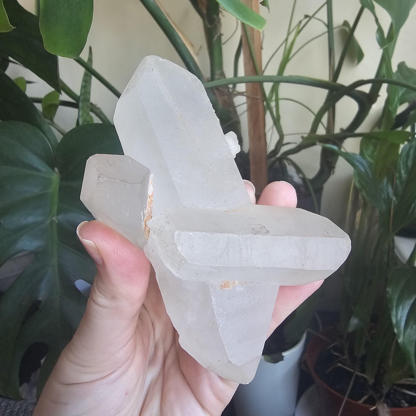 Triplet Lemurian Quartz Crystal Cluster ~ 3 Double Terminated Points in 1!