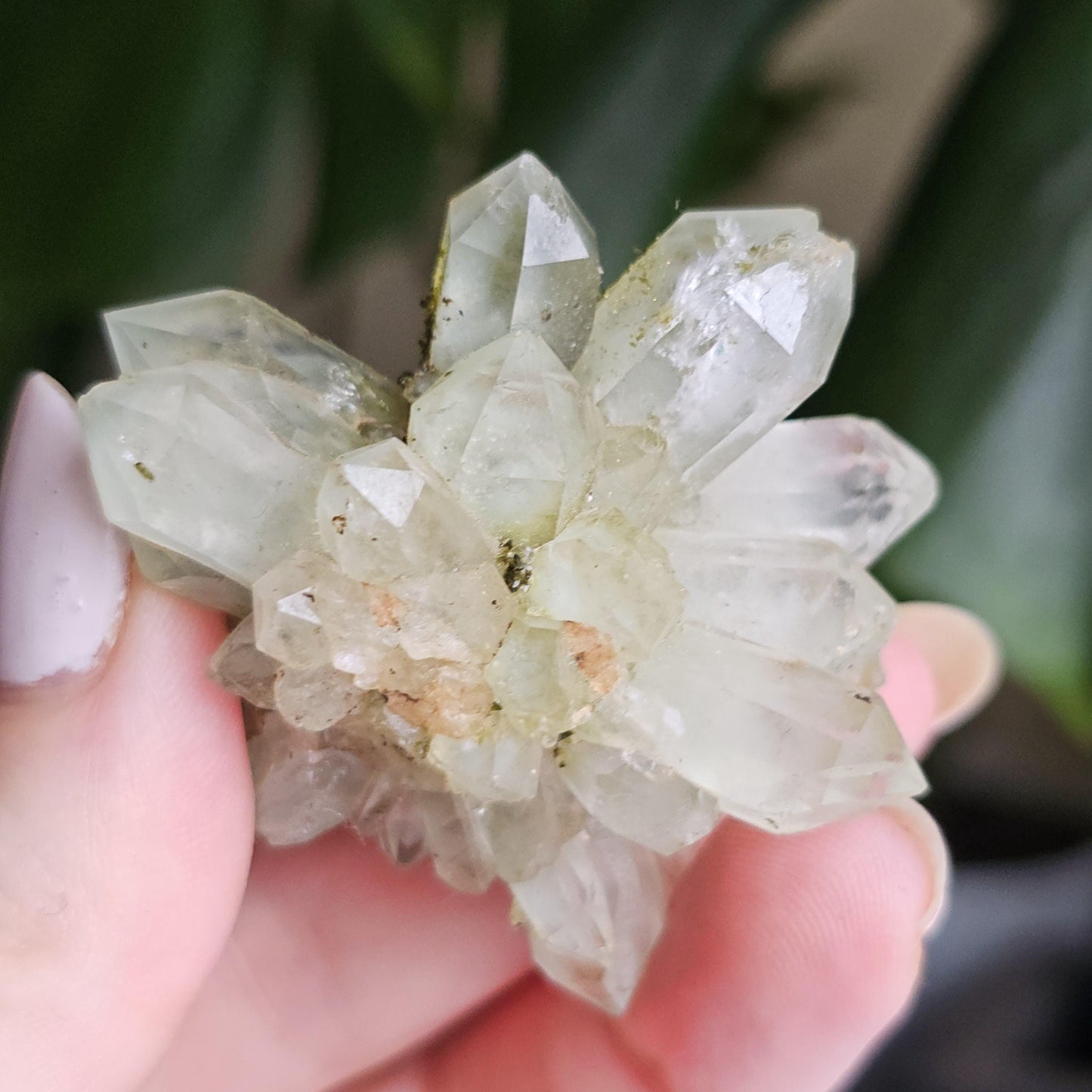 Flowering Quartz Specimen, Phantom Quartz Crystals from Turkey New Find <100