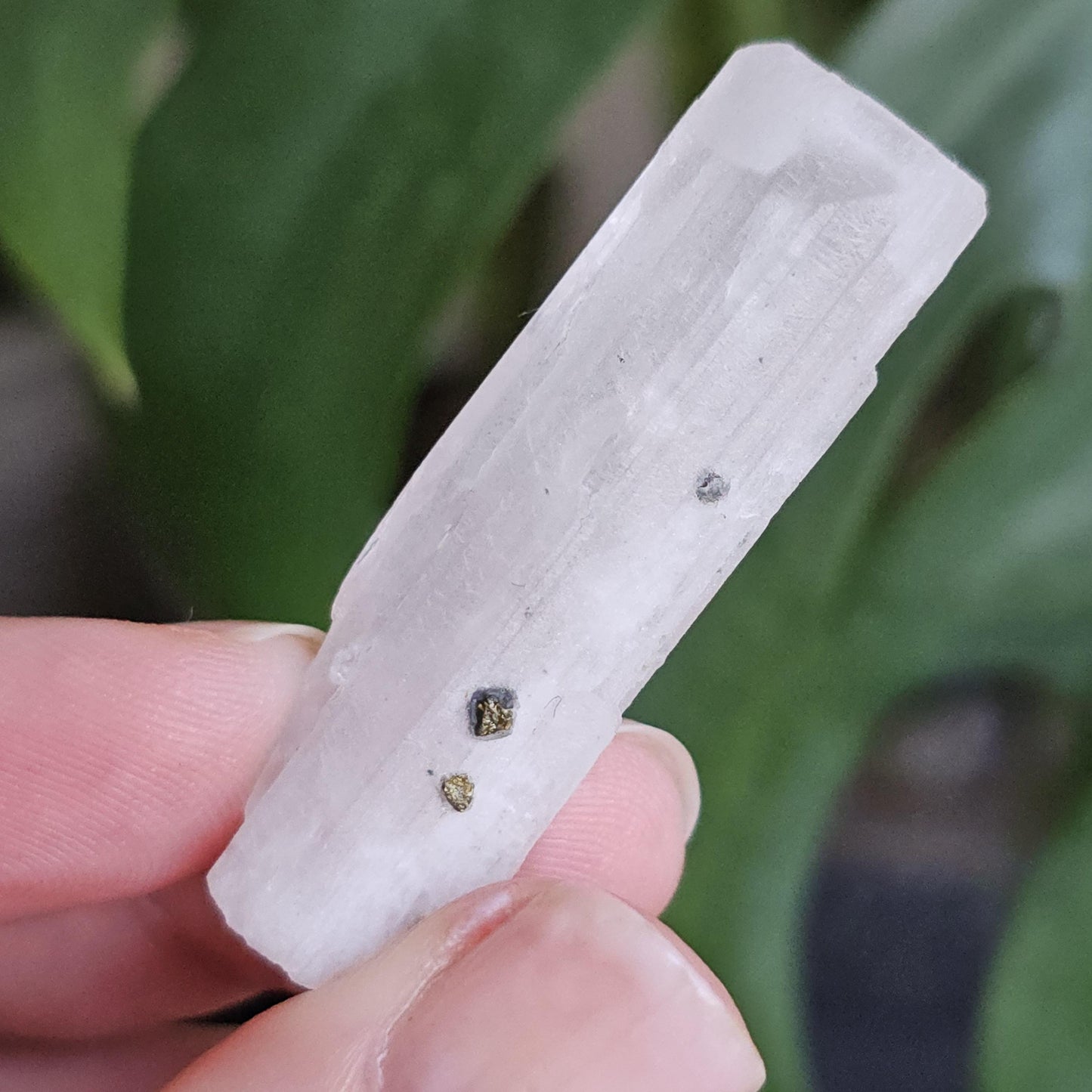 Danburite with Pyrite Inclusion | Rare Raw Crystal <100
