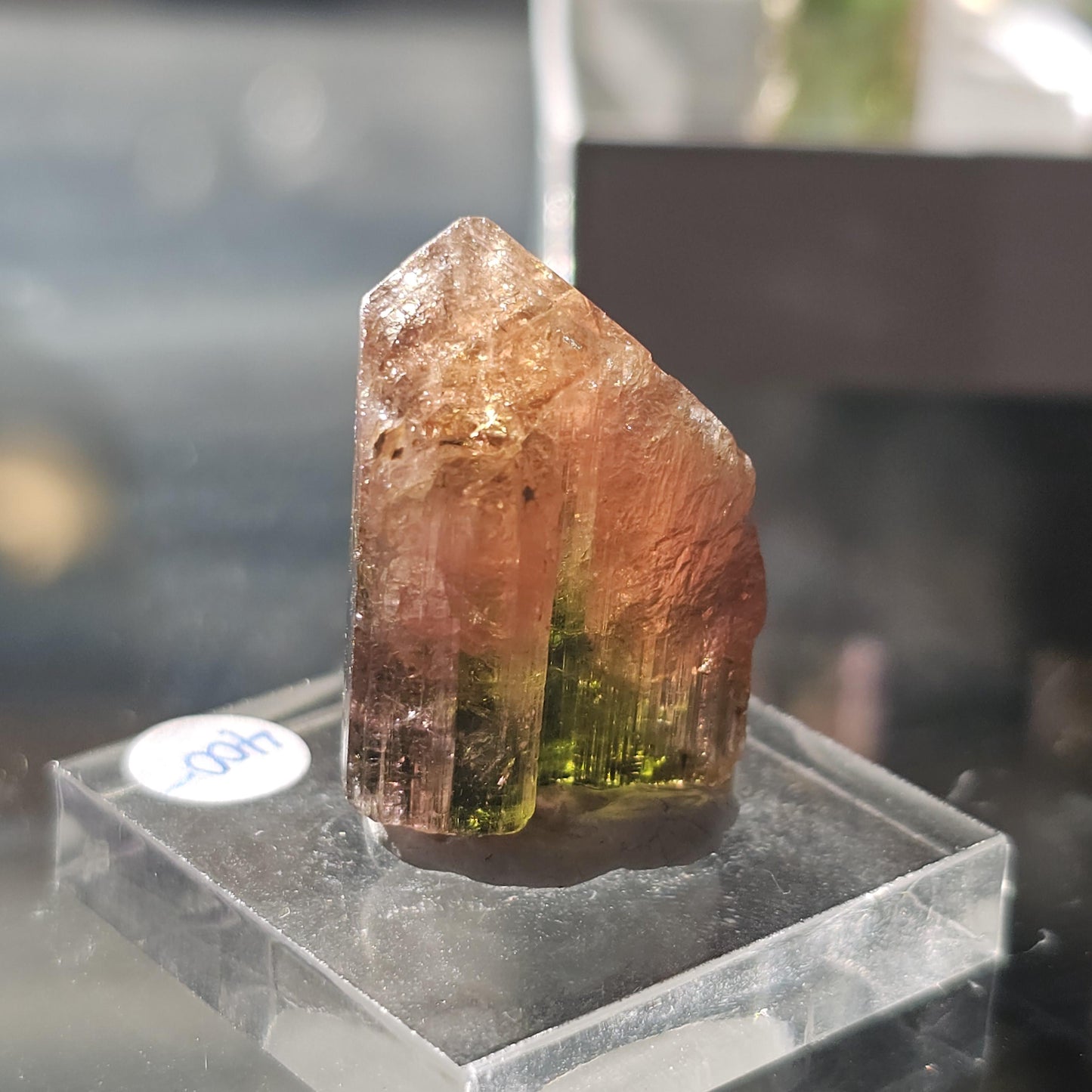 Madagascar Tourmaline, Old Stock Rainbow, Multicolored Green Pink Yellow Elbaite, Rough Raw Gemstone Specimen, for Collection, Jewelry