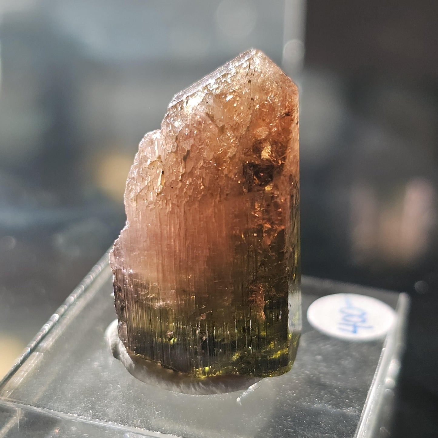 Madagascar Tourmaline, Old Stock Rainbow, Multicolored Green Pink Yellow Elbaite, Rough Raw Gemstone Specimen, for Collection, Jewelry