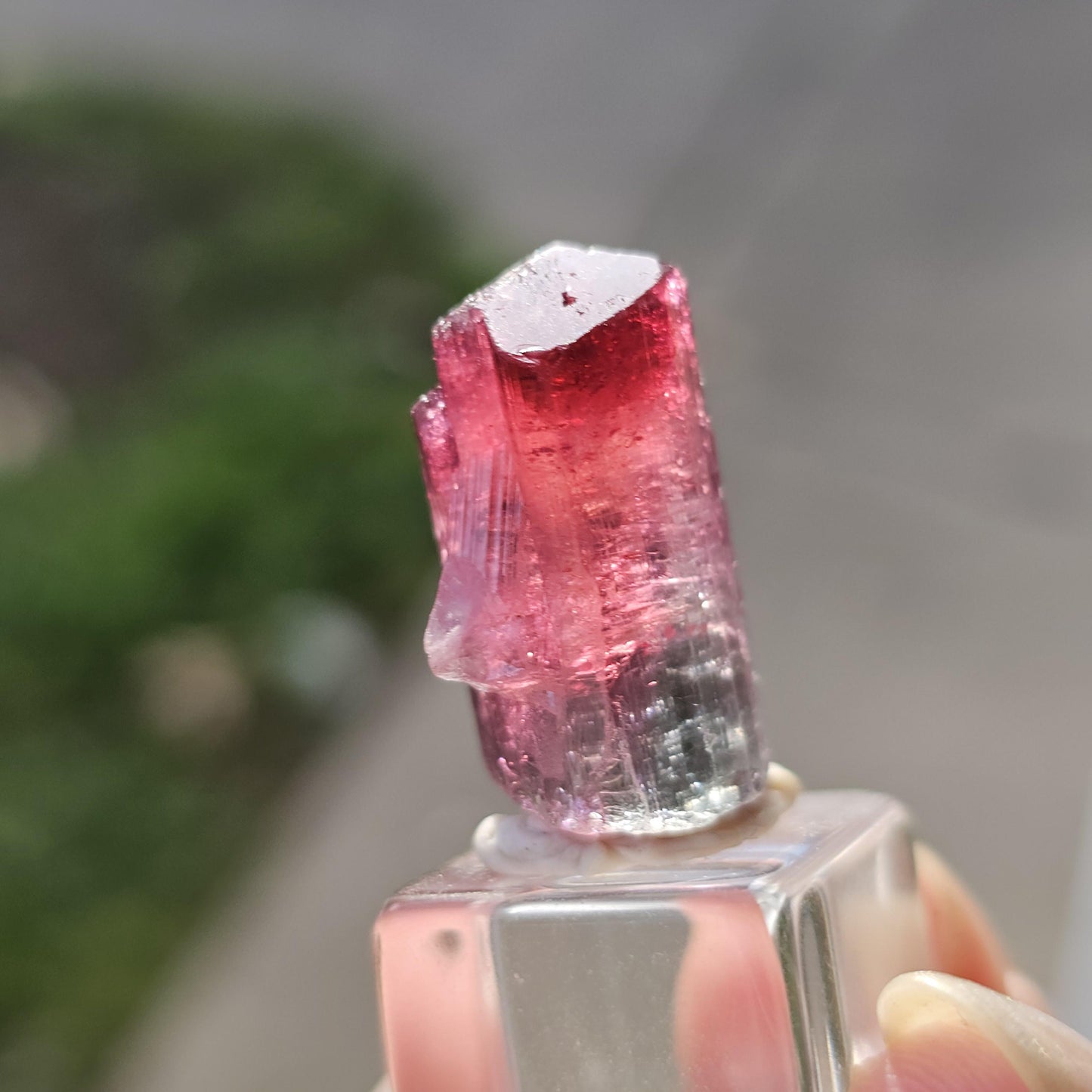 Lipstick Cruziero Tourmaline, Rare Lollipop Pocket Elbaite