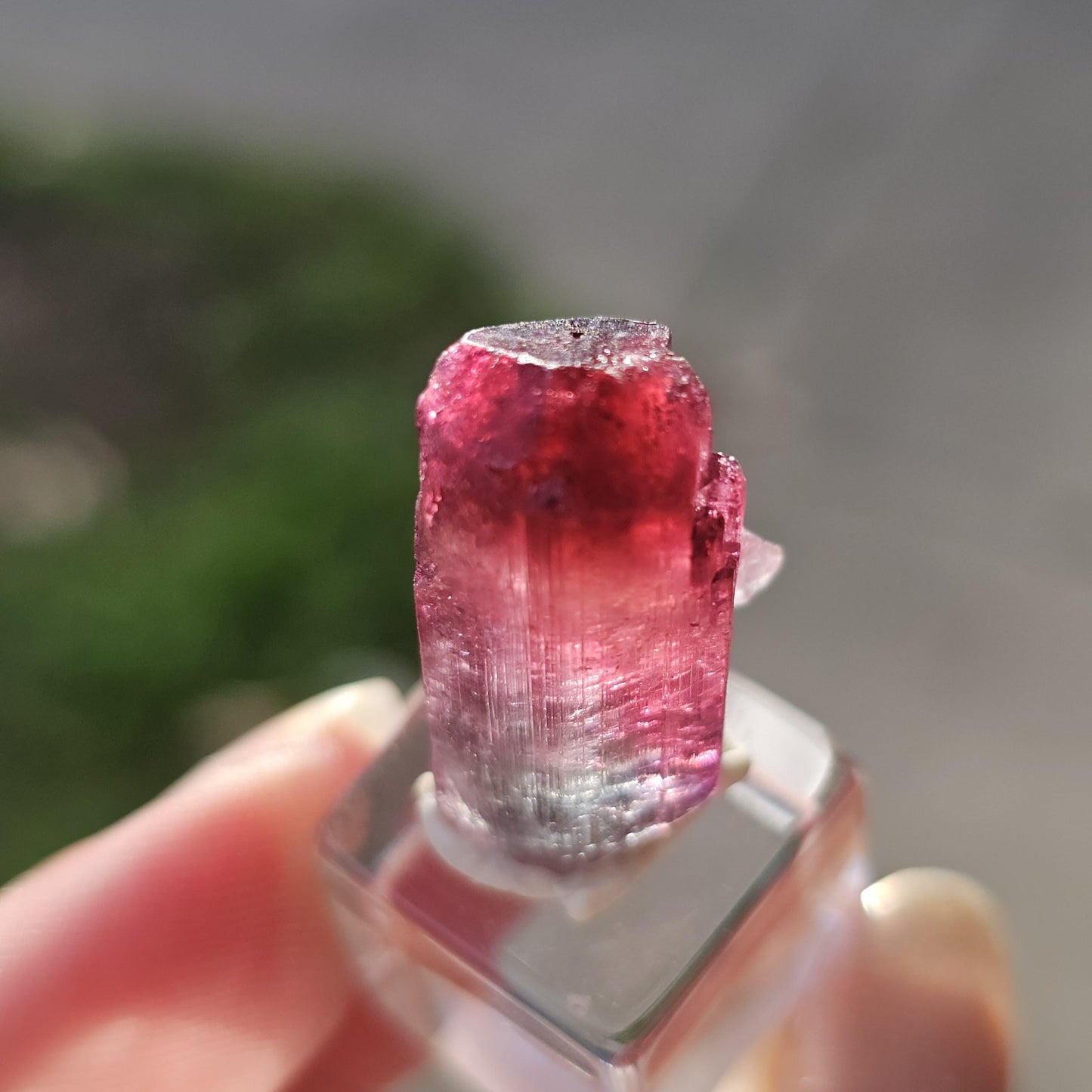 Lipstick Cruziero Tourmaline, Rare Lollipop Pocket Elbaite