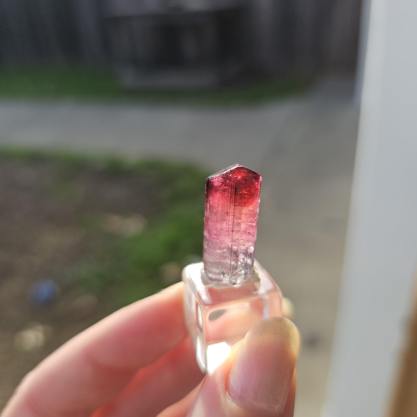 Lipstick Cruziero Tourmaline, Rare Raw Red Capped Elbaite, Teal w Hot Pink Cap, Terminated Collector Gemstone, Pendant Sized, Self Standing