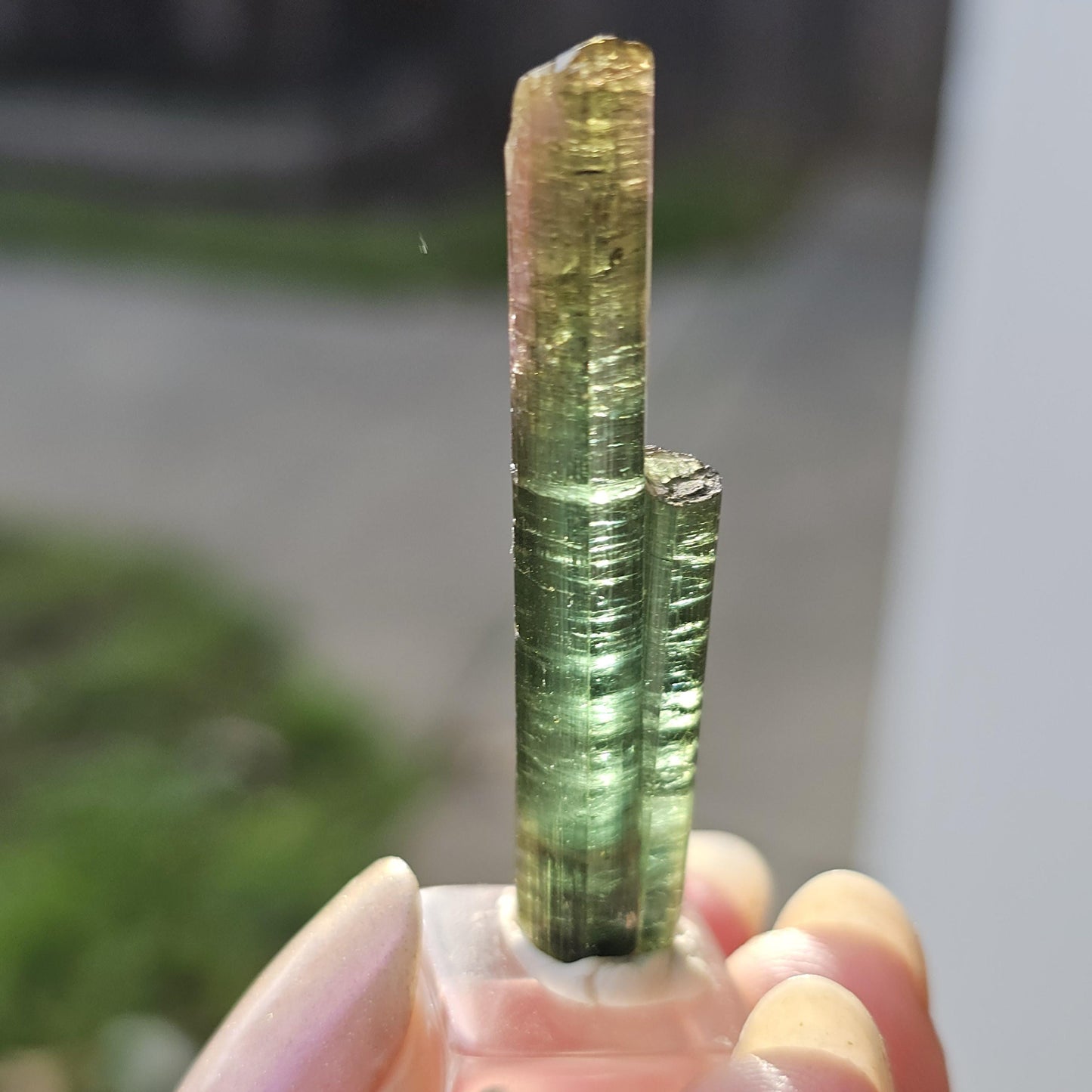 New Find Tourmaline var. Elbaite Twin Pencil Crystal, Taquaral Brazil 2022